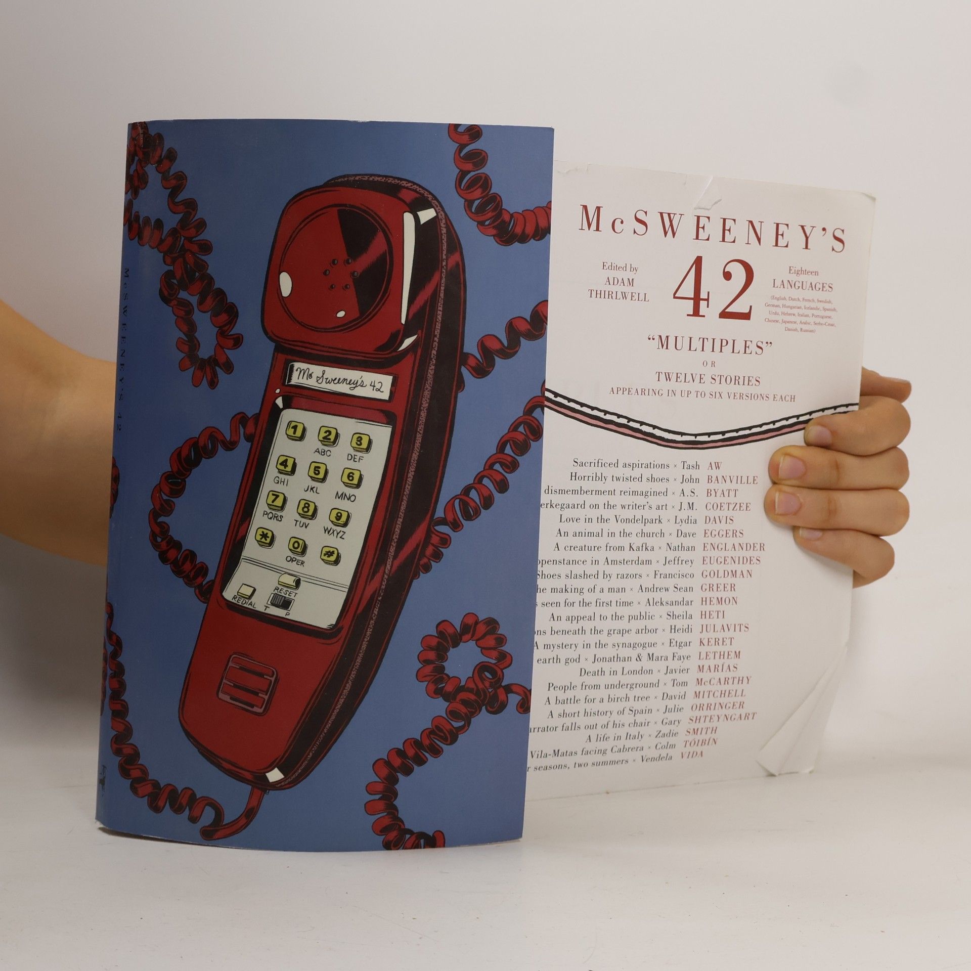 McSweeney's - 42: Multiples