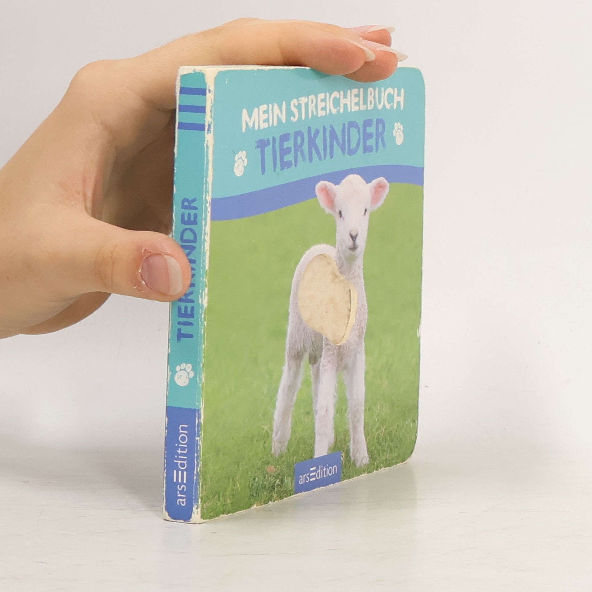 Autorenkollektiv Mein Streichelbuch - Tierkinder