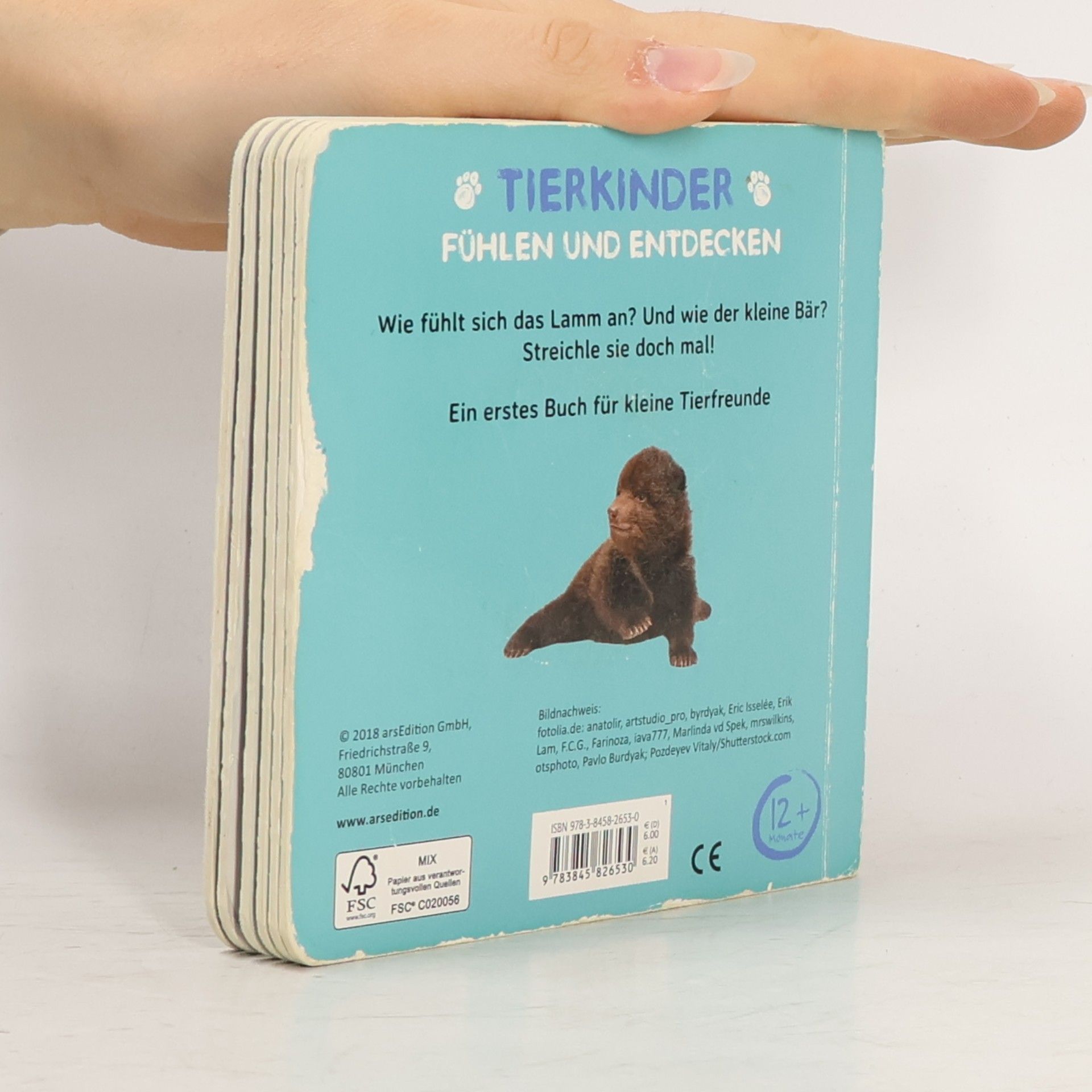 Mein Streichelbuch - Tierkinder