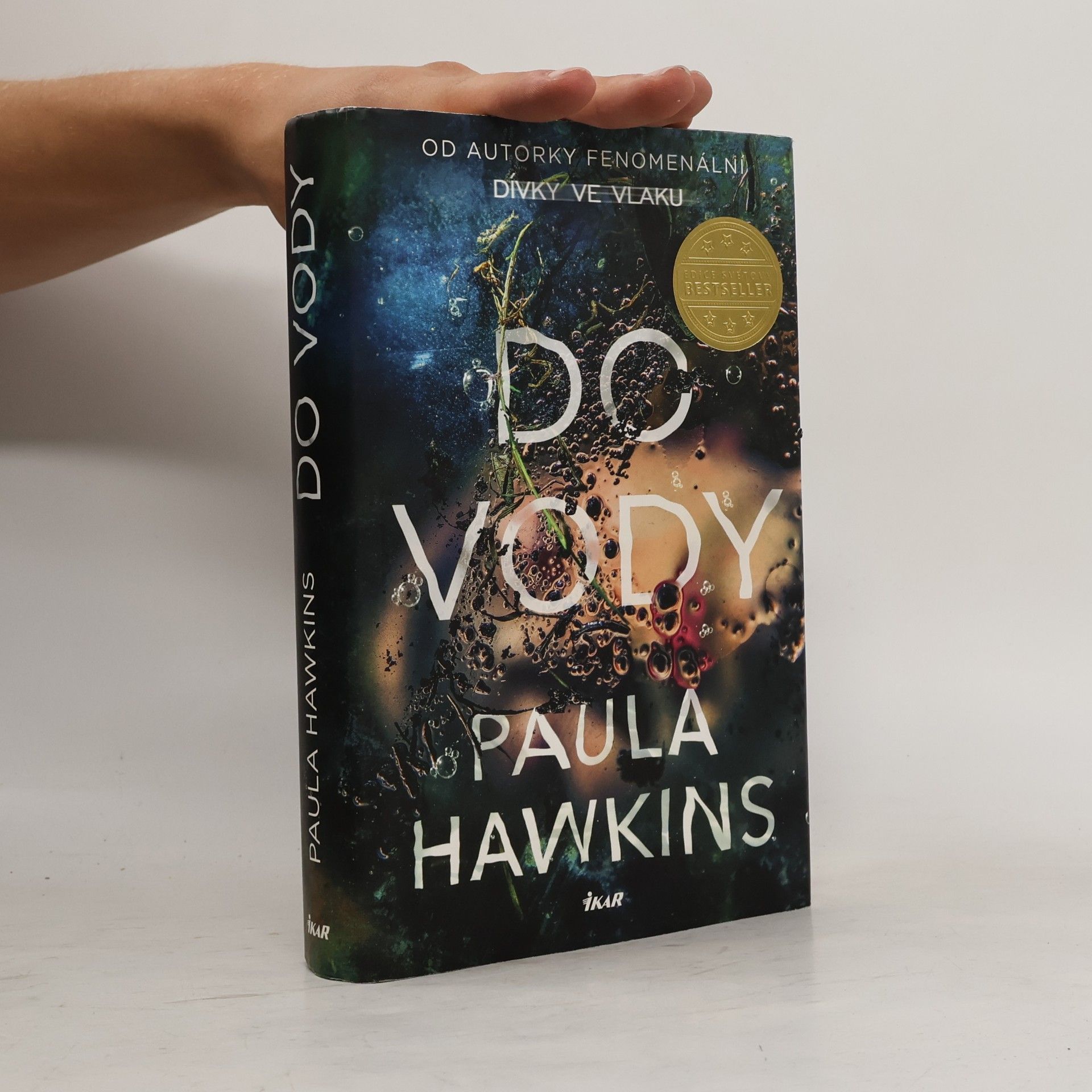Paula Hawkinsová Do vody