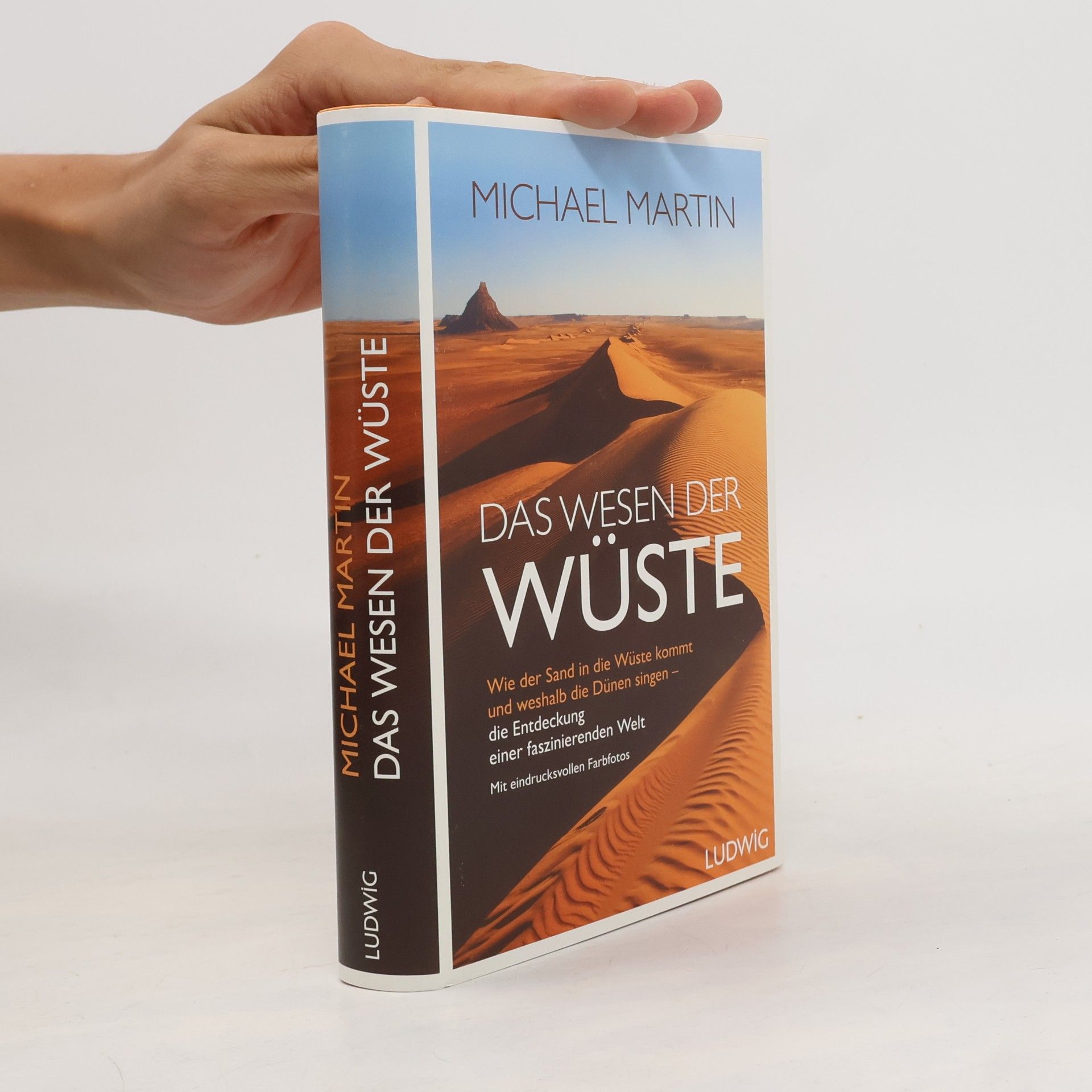 Michael Martin Das Wesen der Wüste