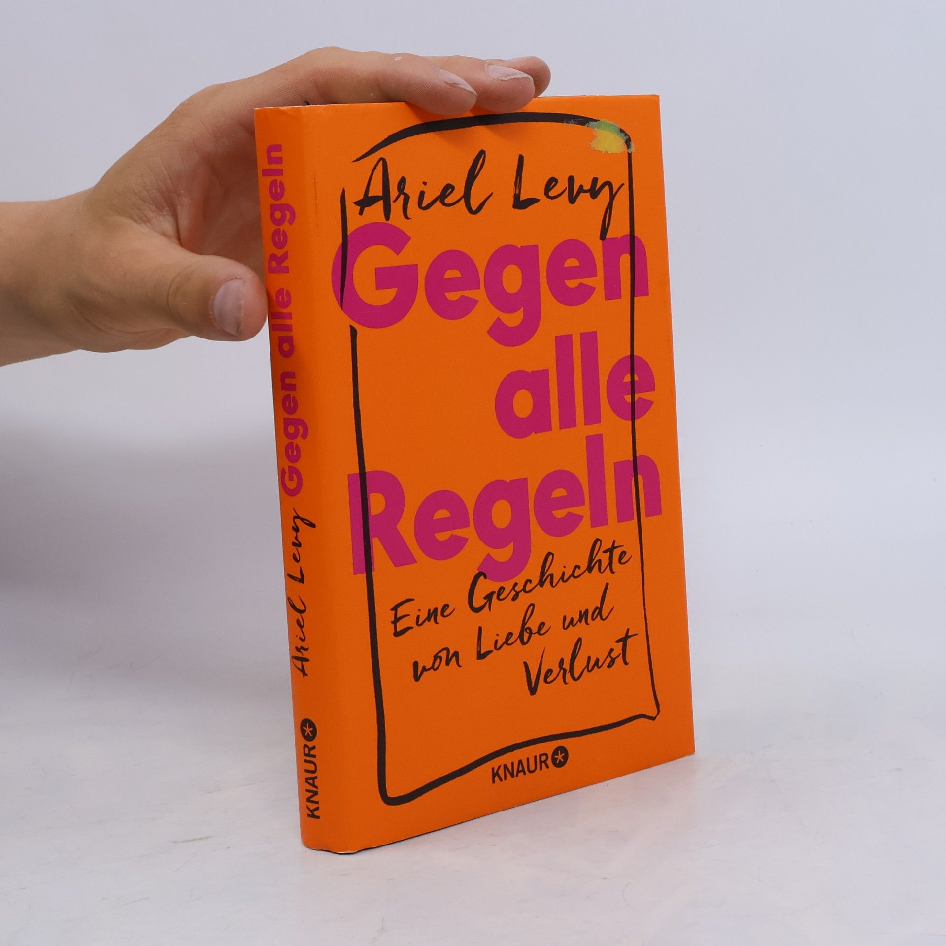 Ariel Levy Gegen alle Regeln