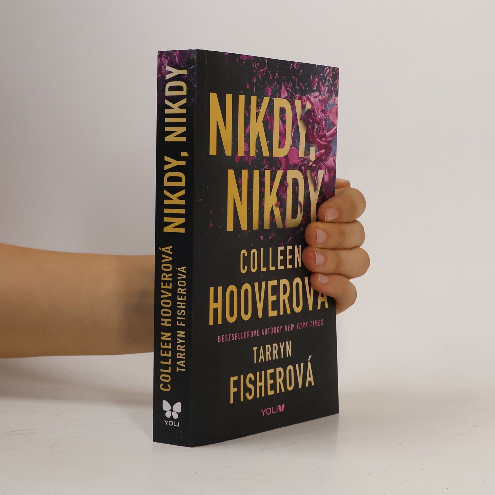 Colleen Hoover Nikdy, nikdy