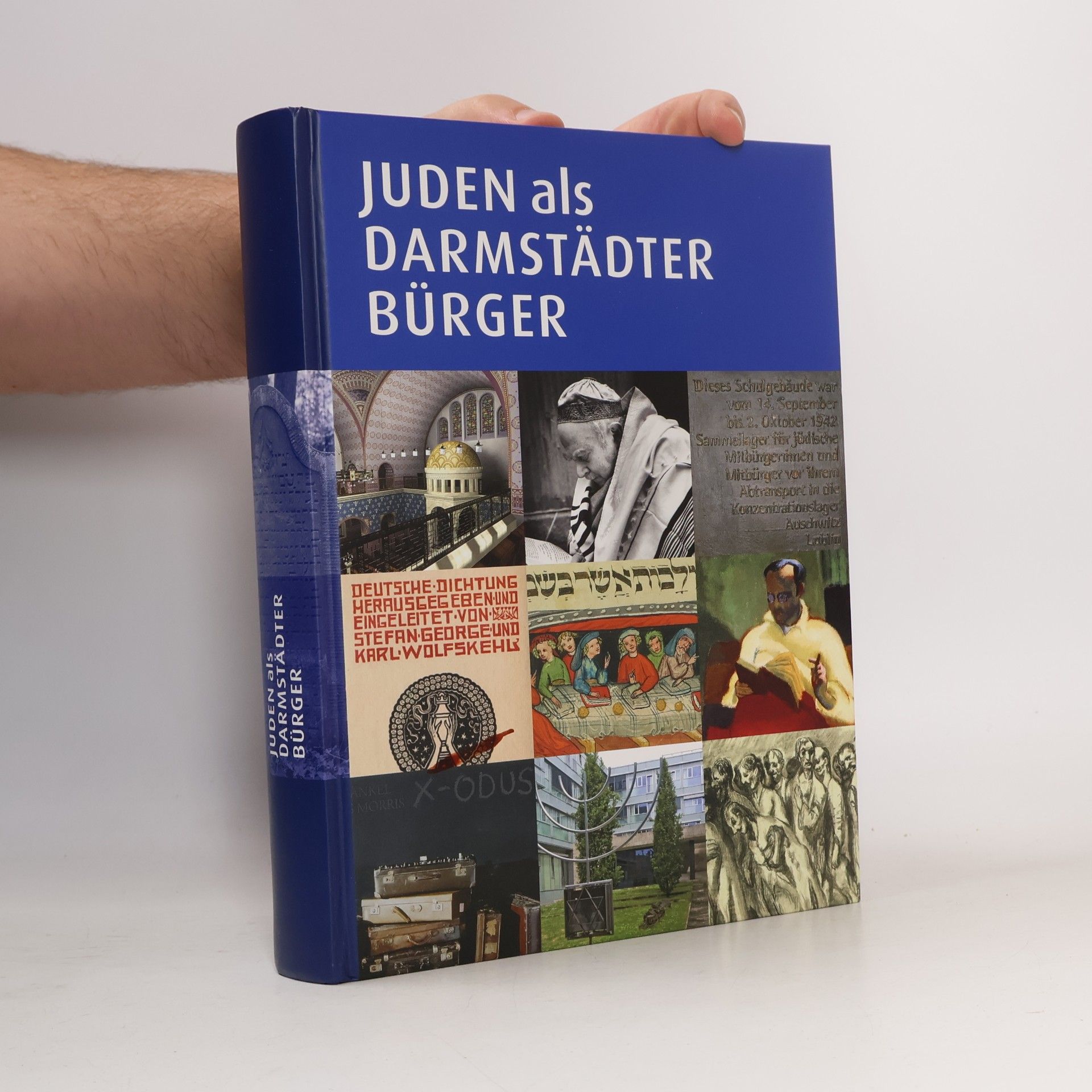 Schriften der Kommission für die Geschichte der Juden in Hessen: Juden als Darmstädter Bürger