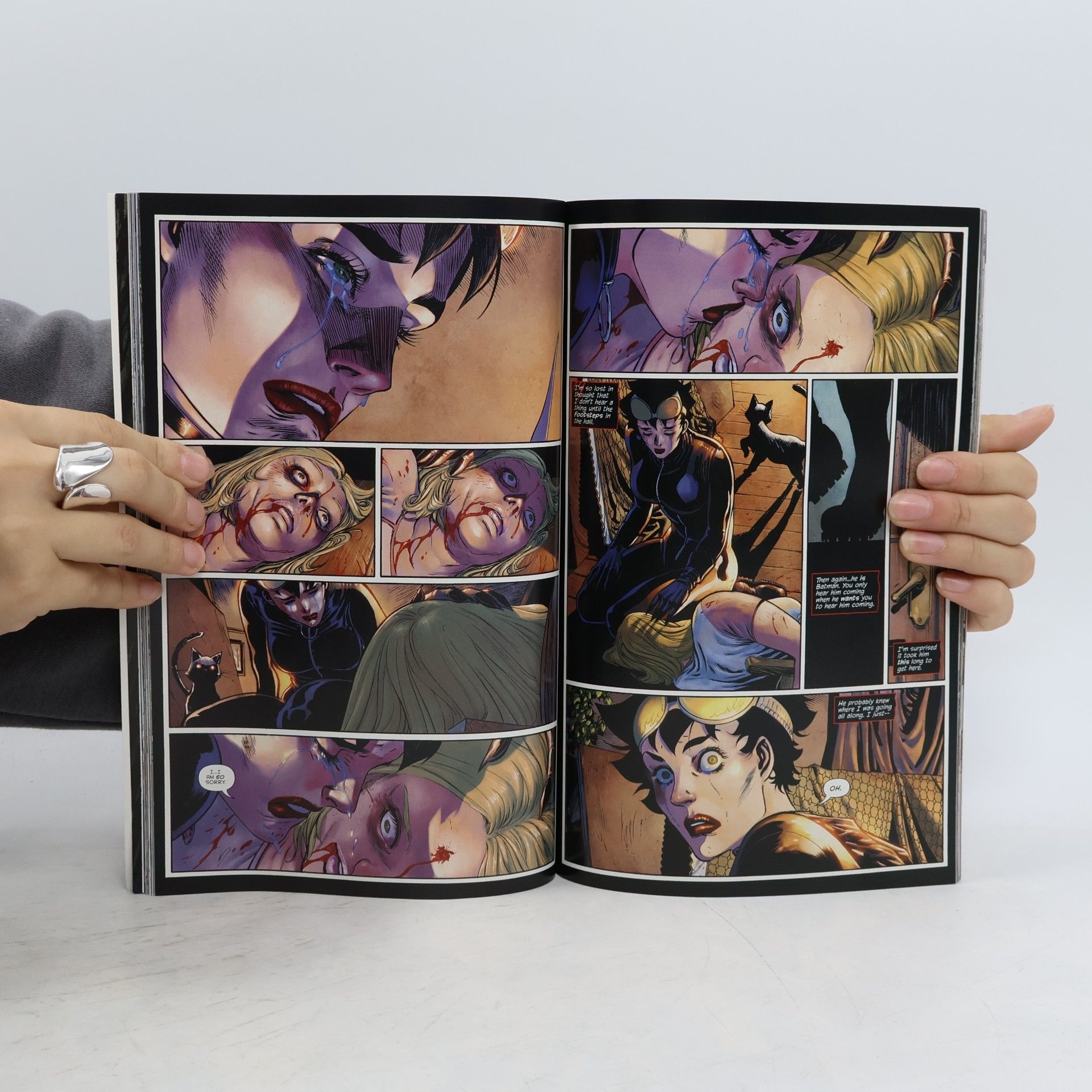 Judd Winick Catwoman. Volume 1: The Game