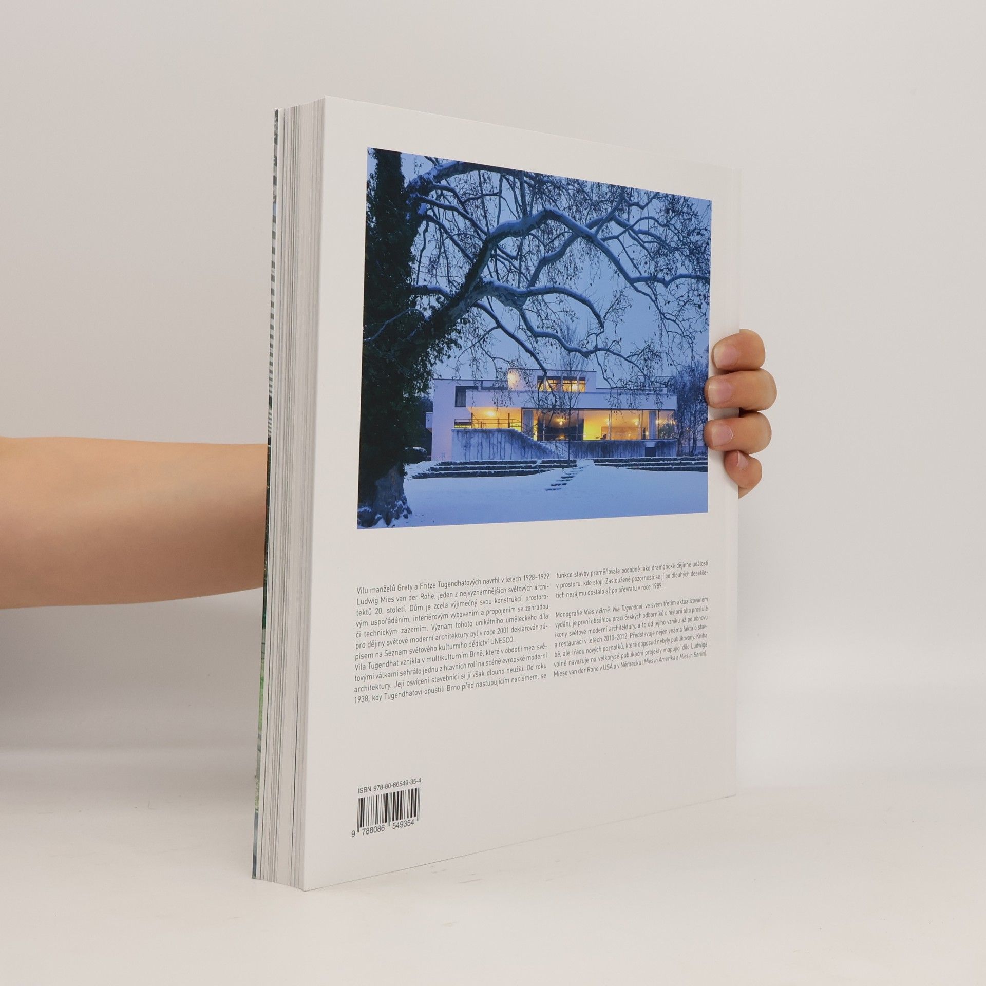 Iveta Černá Mies v Brně : vila Tugendhat