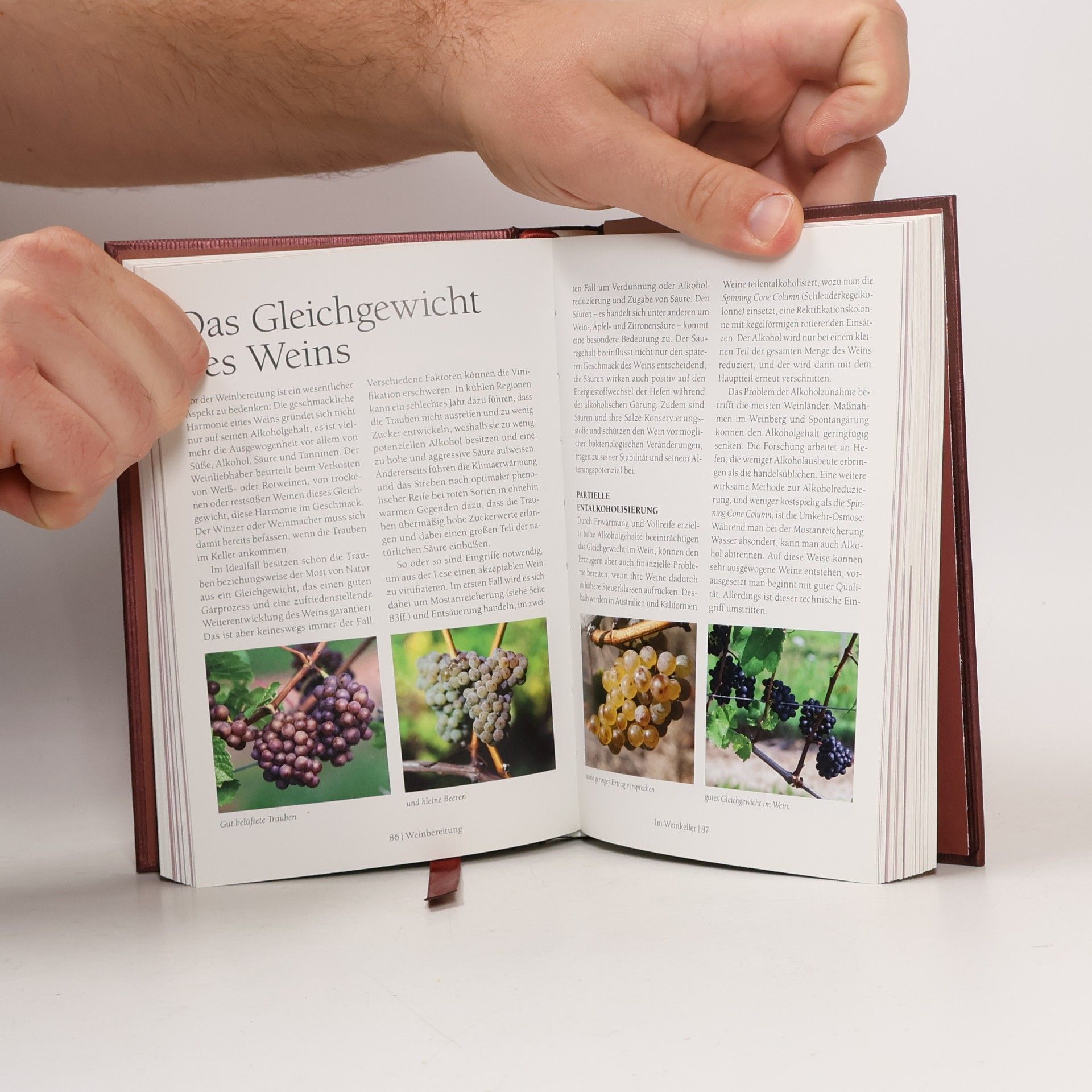 André Dominé Wein-Guide für Kenner