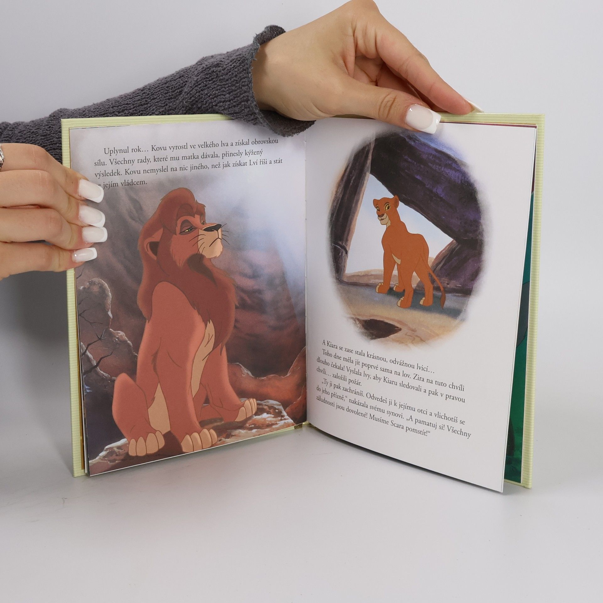 Walt Disney Zlatá sbírka pohádek 47. Lví král 2. Simbův příběh