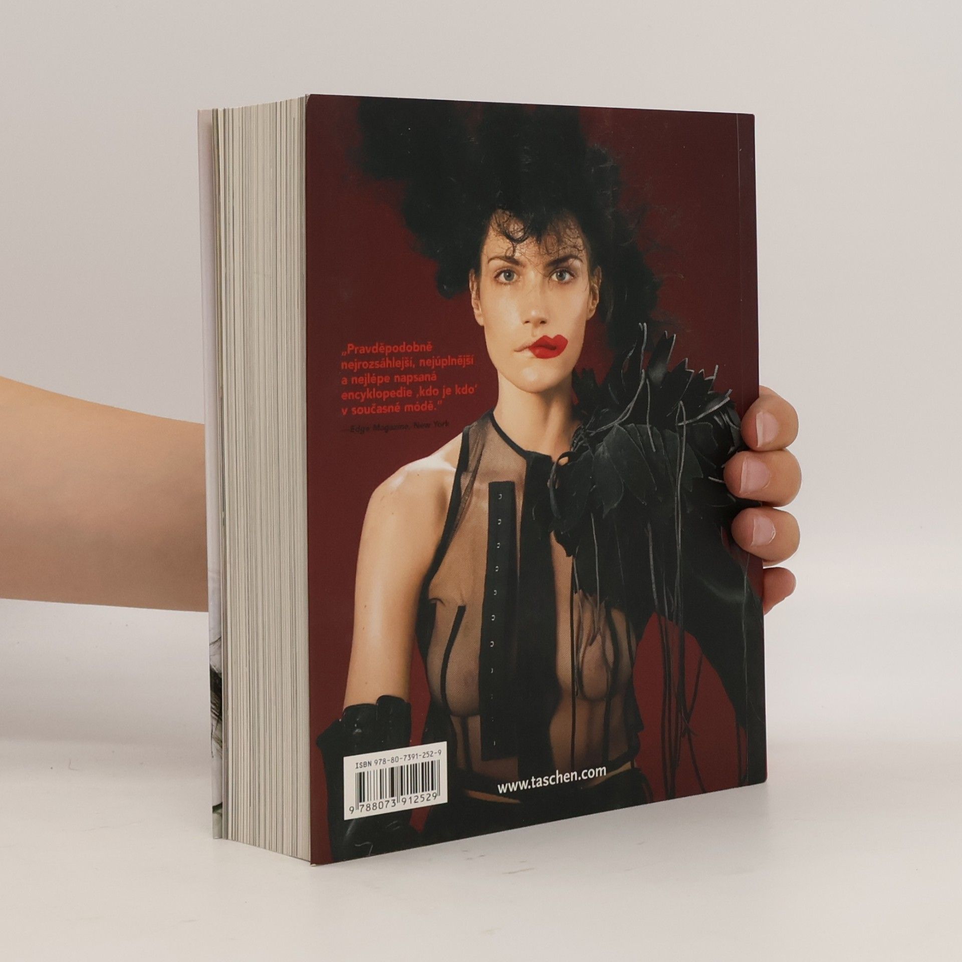 Terry Jones Fashion now 2