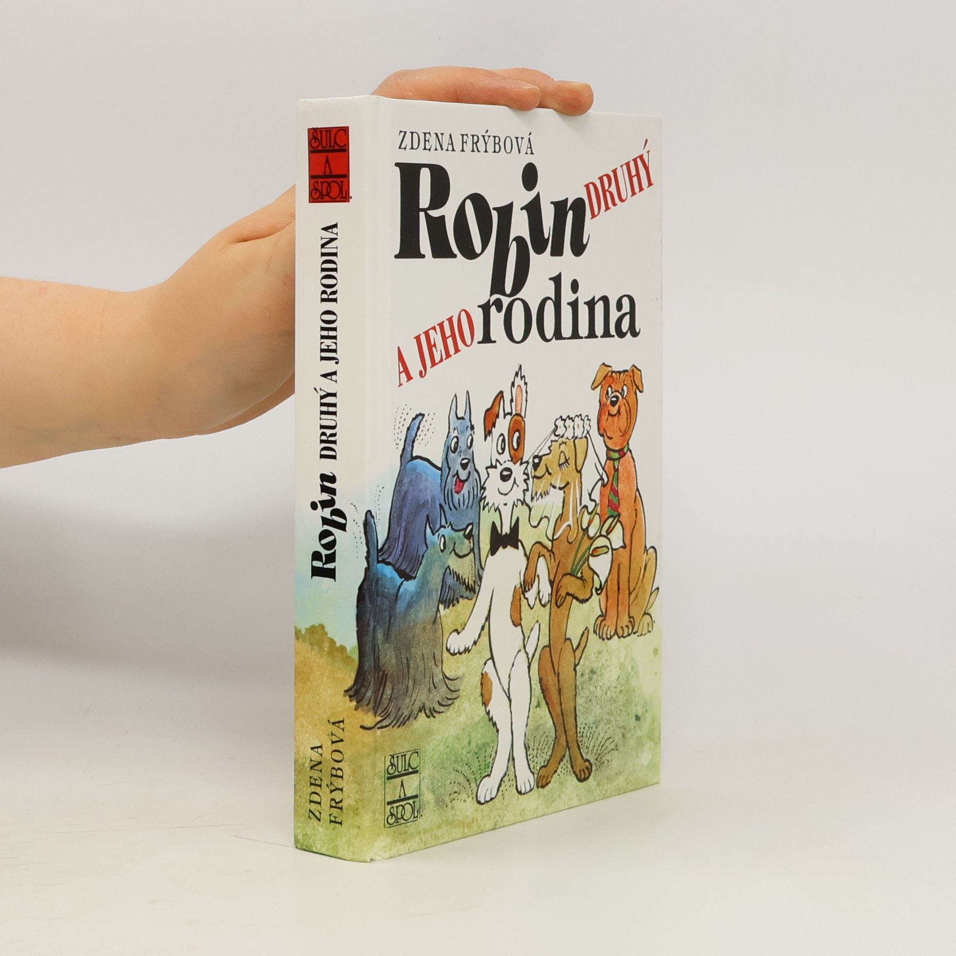 Robin Druhý a jeho rodina