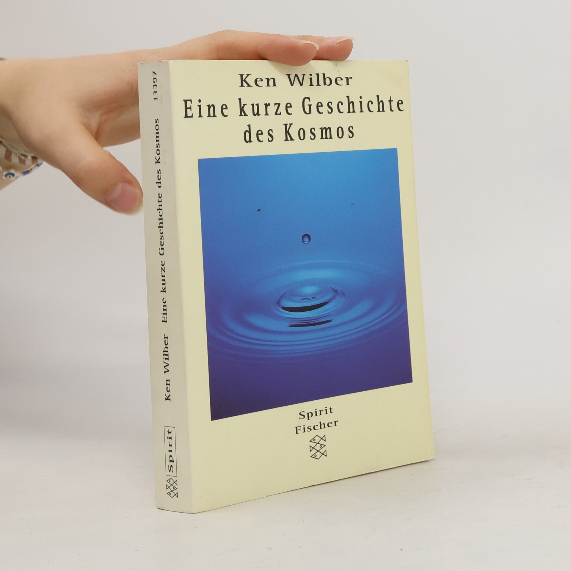 Ken Wilber Eine kurze Geschichte des Kosmos