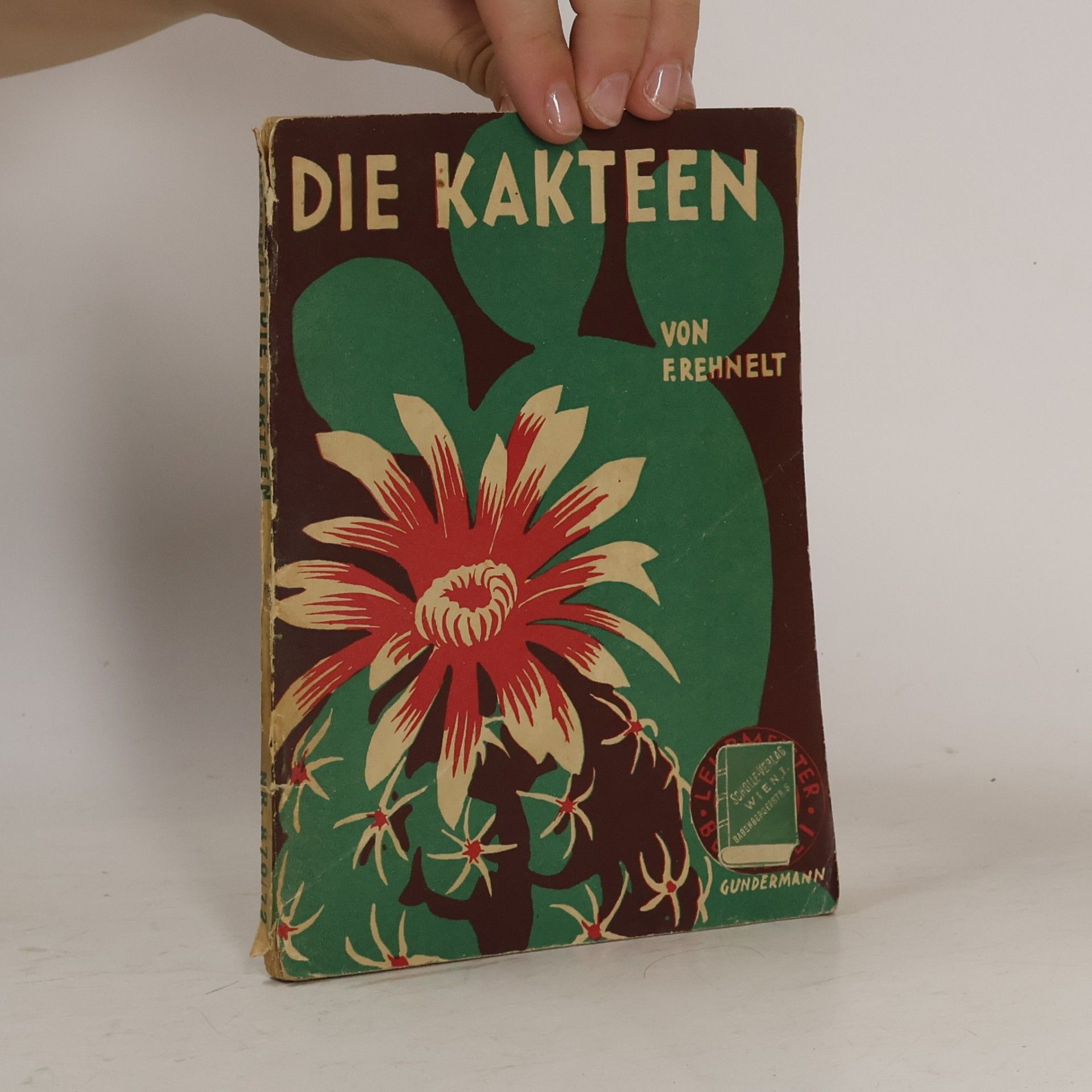 F. Rehnelt Die Kakteen