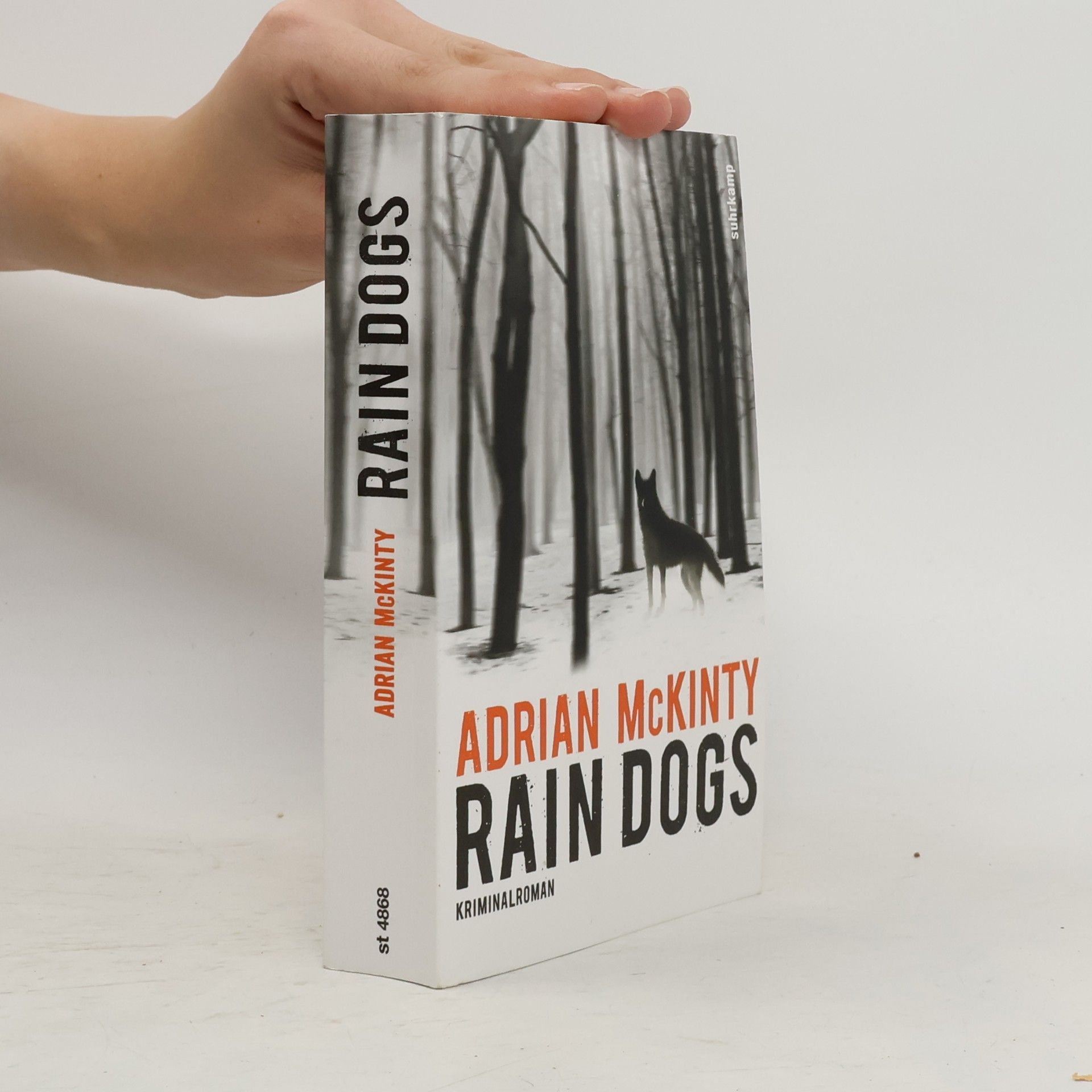 Adrian McKinty Rain Dogs