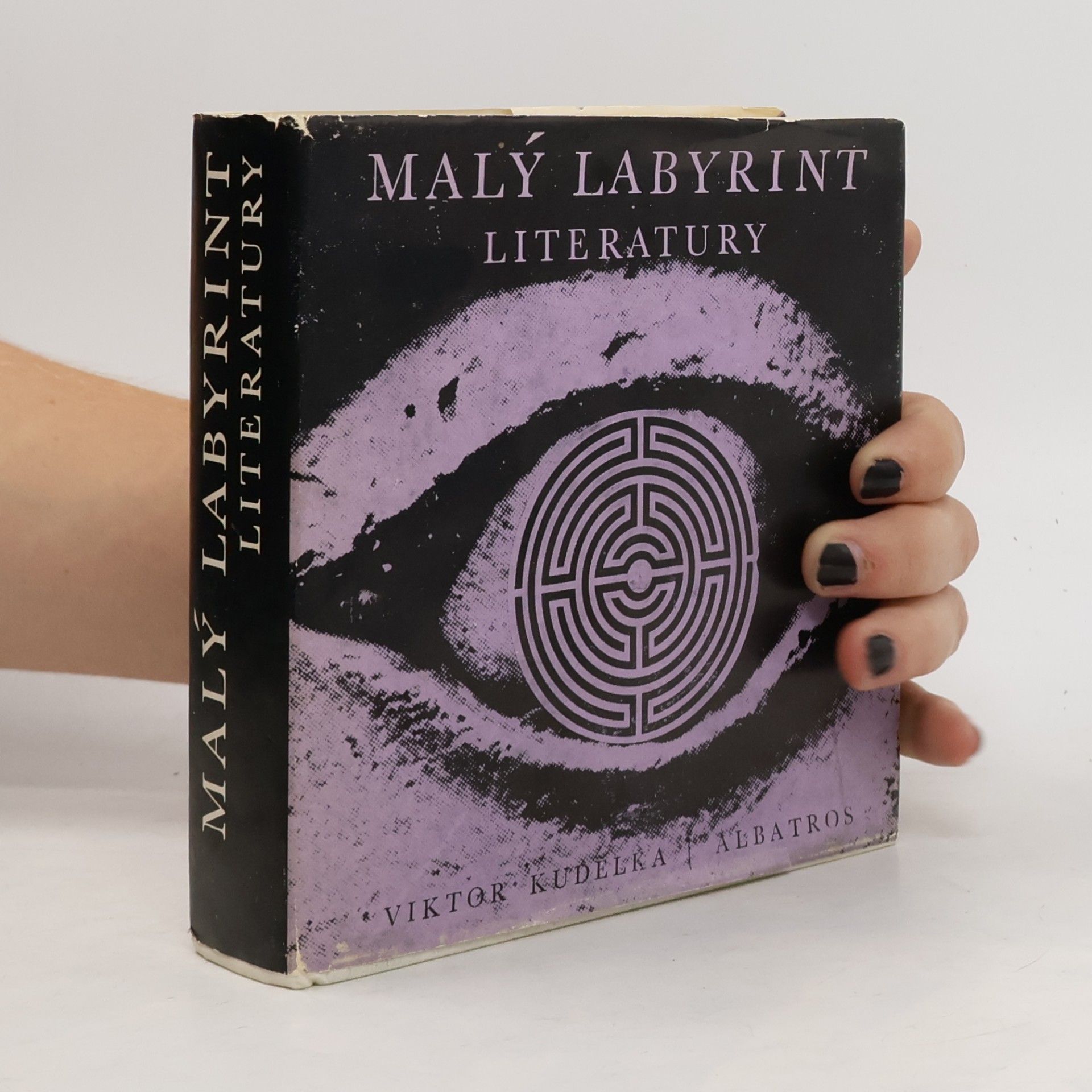Viktor Kudělka Malý labyrint literatury