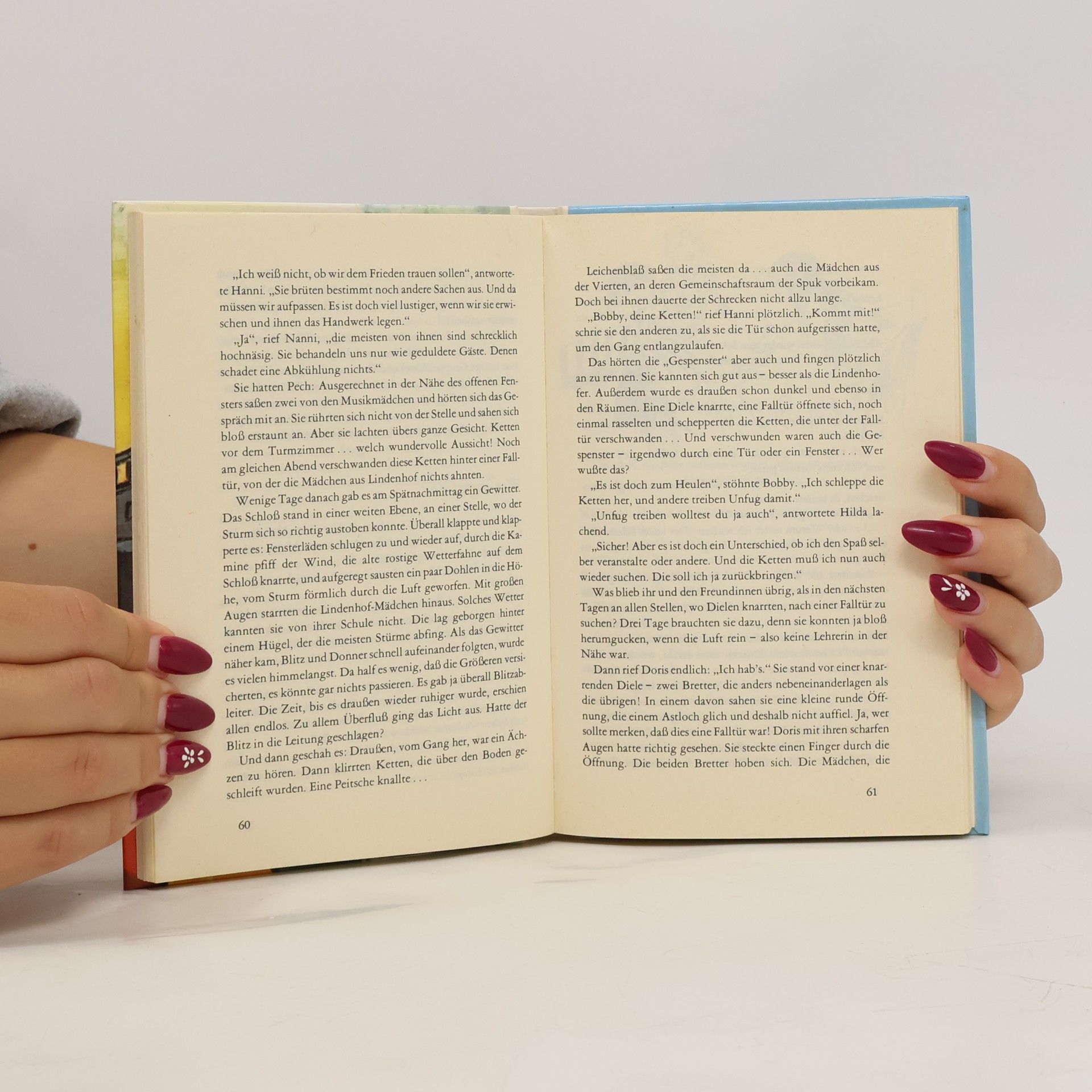 Enid Blyton Hanni und Nanni suchen Gespenster
