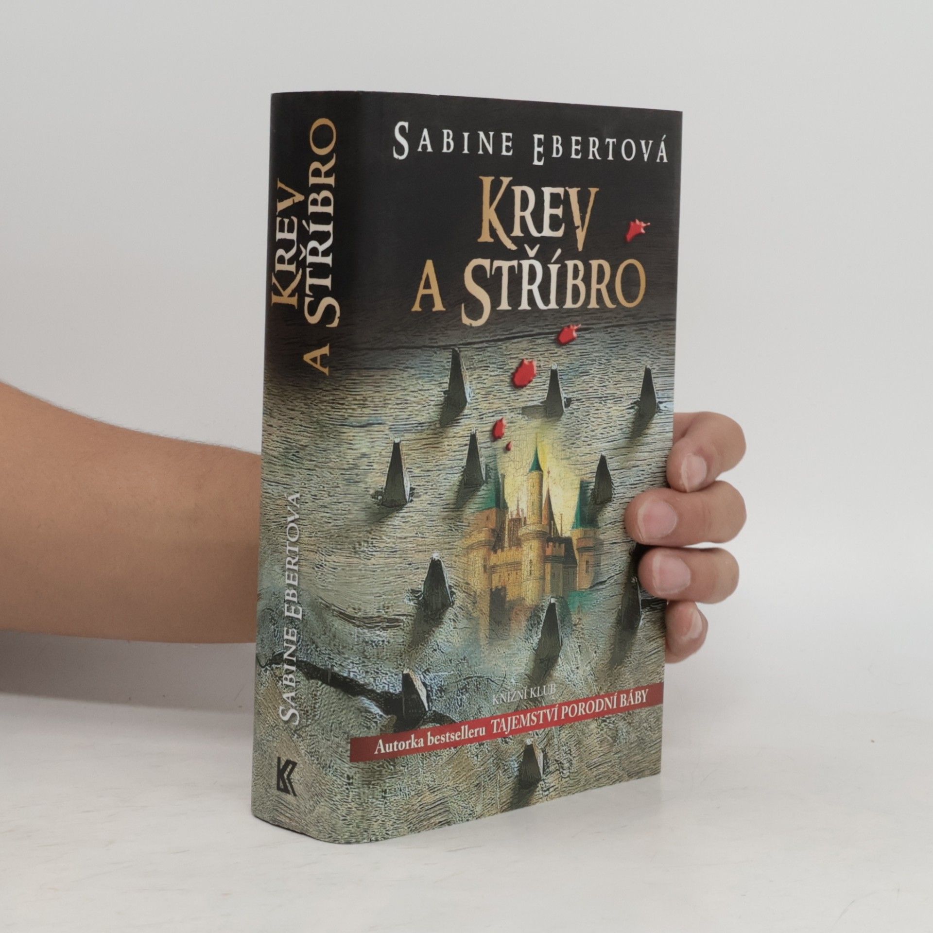 Sabine Ebert Krev a stříbro