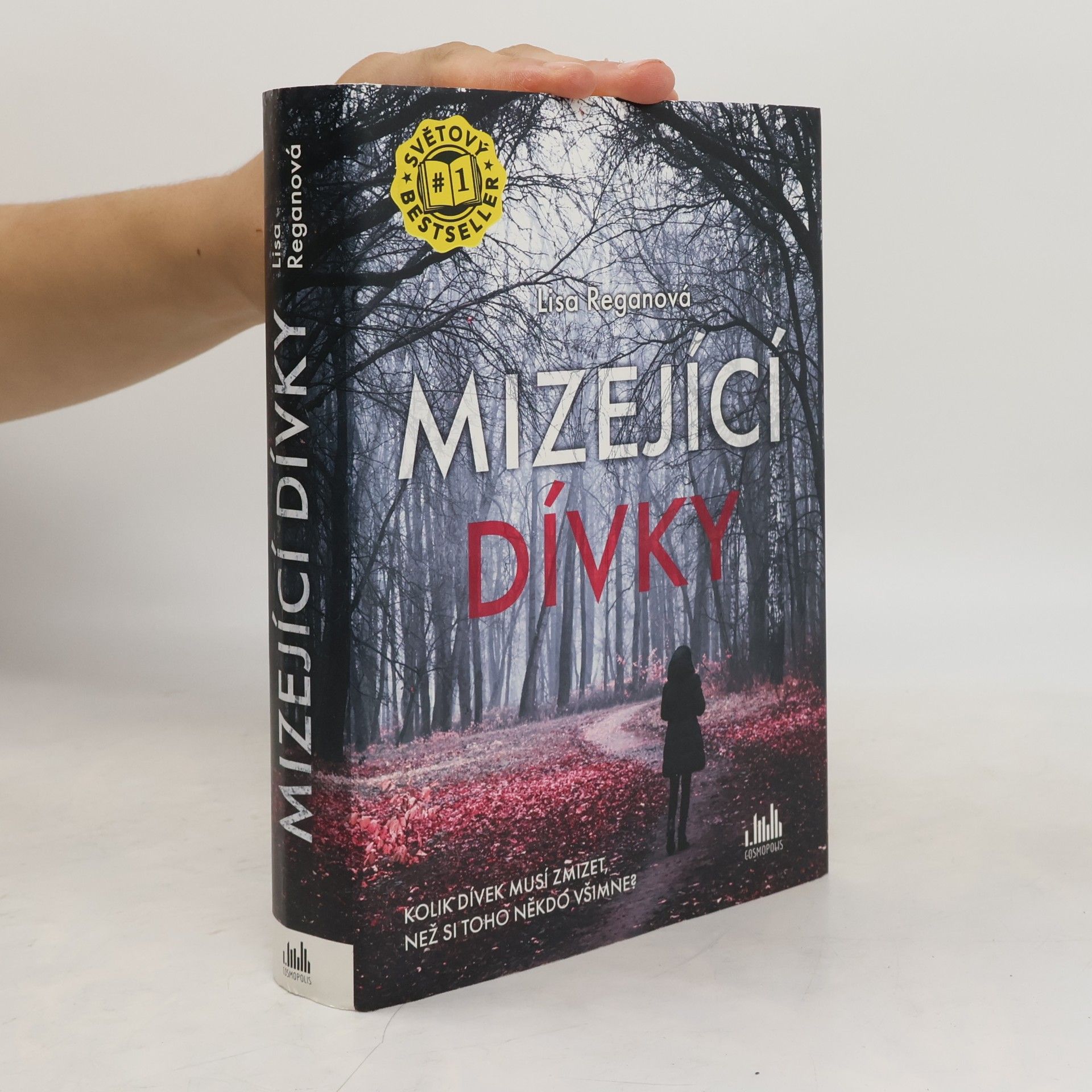 Lisa Regan Mizející dívky