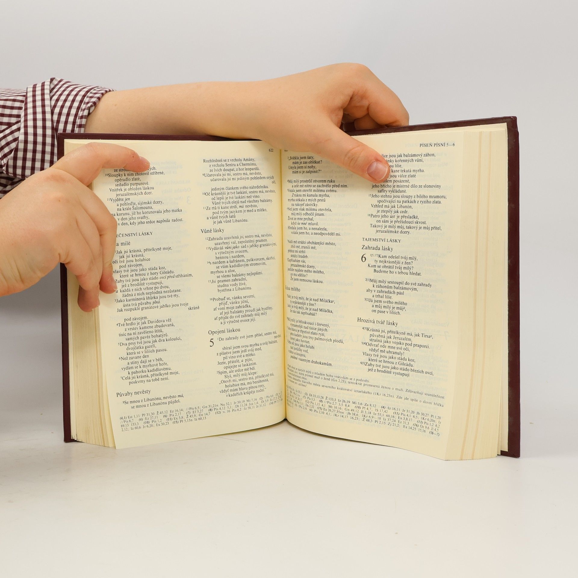 František Tomášek Bible