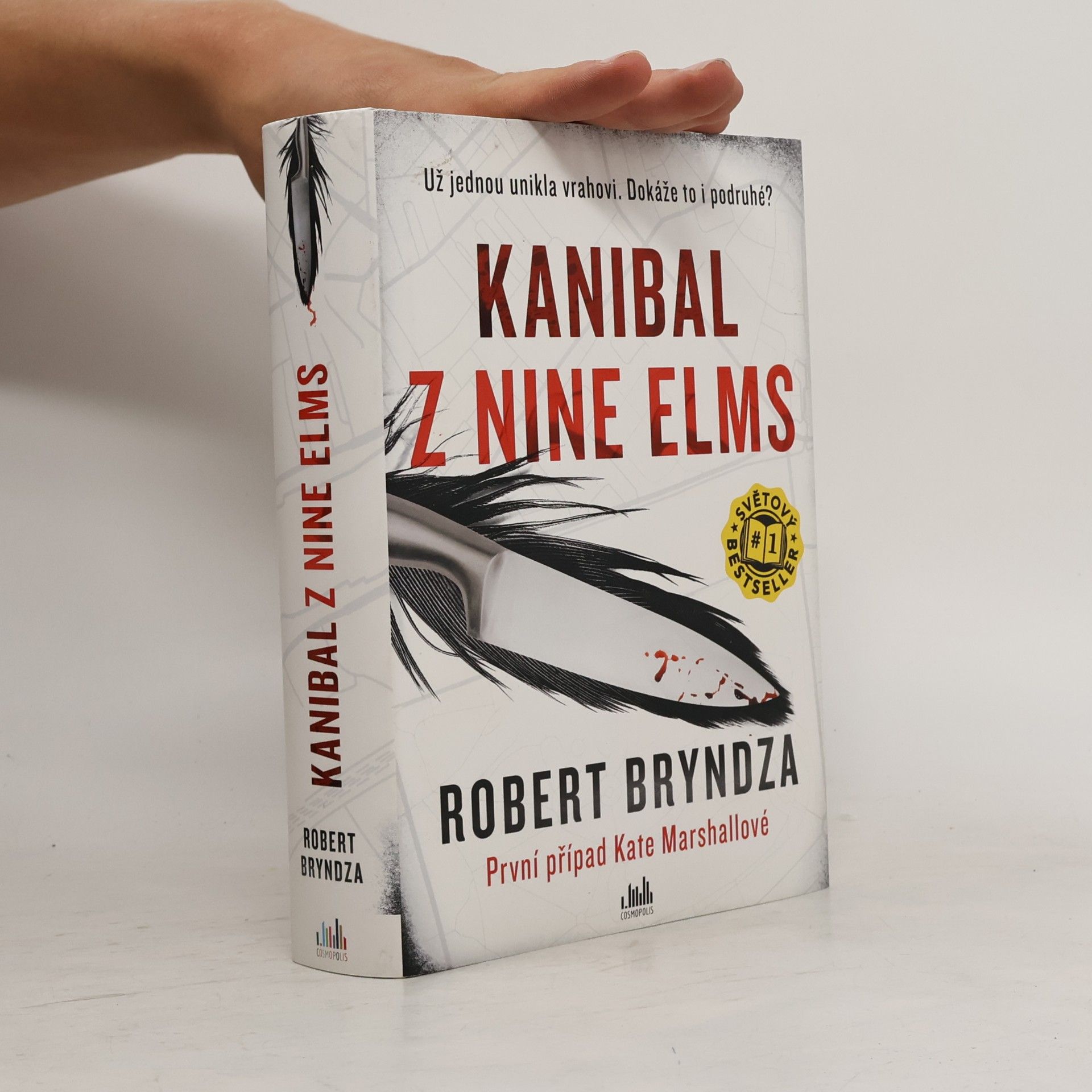Robert Bryndza Kanibal z Nine Elms