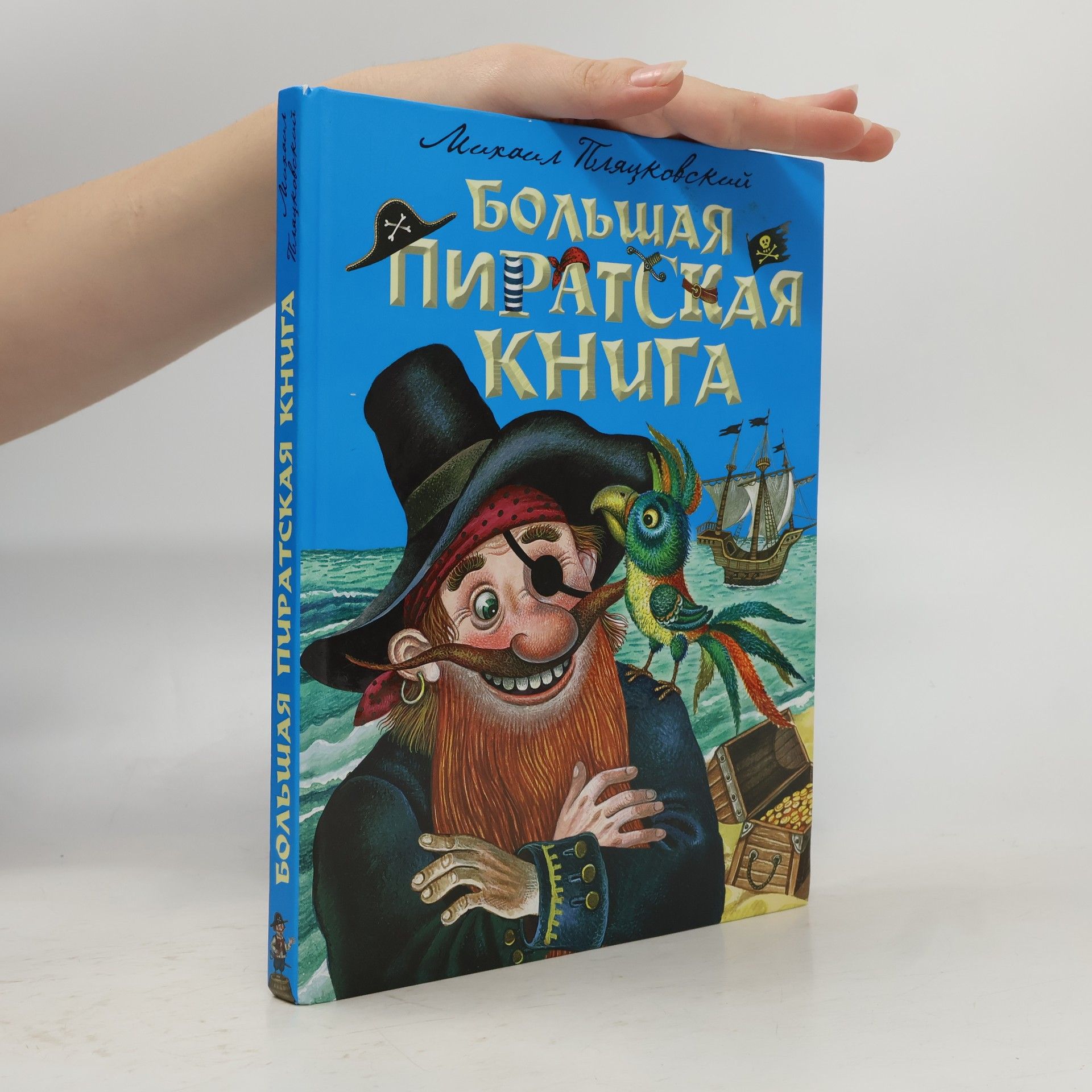Михаил Спартакович Пляцковский Большая пиратская книга