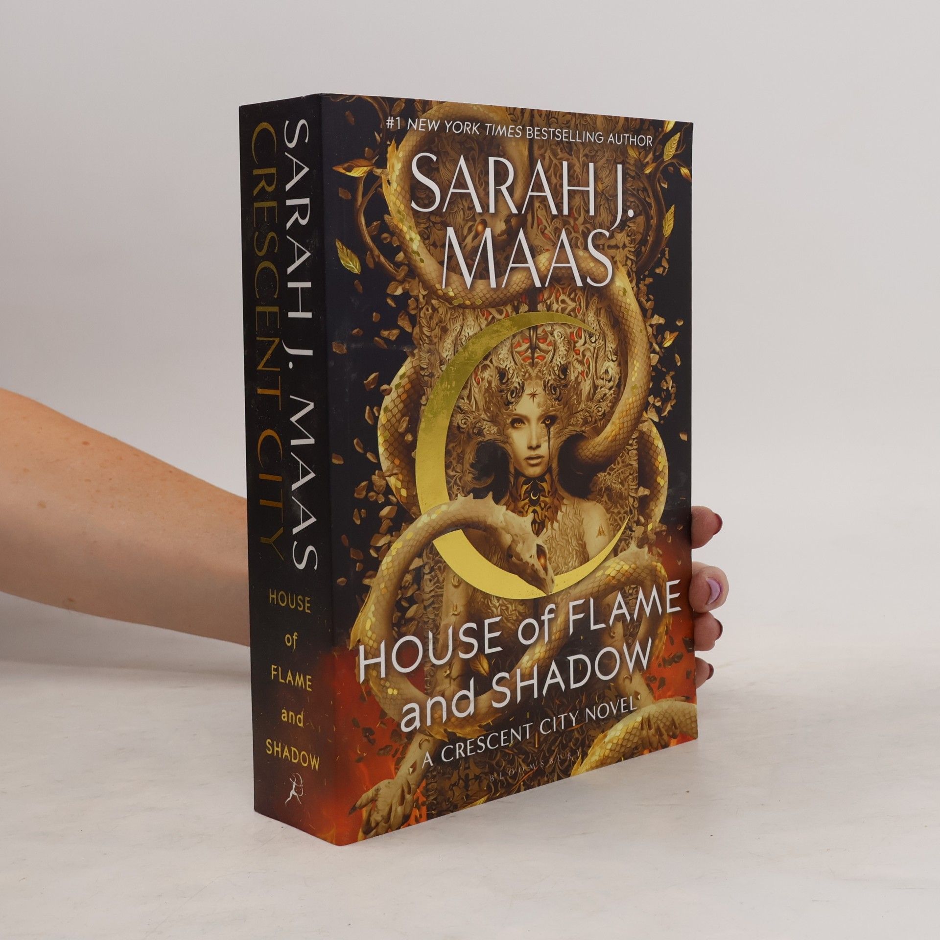 Sarah J. Maas House of Flame and Shadow