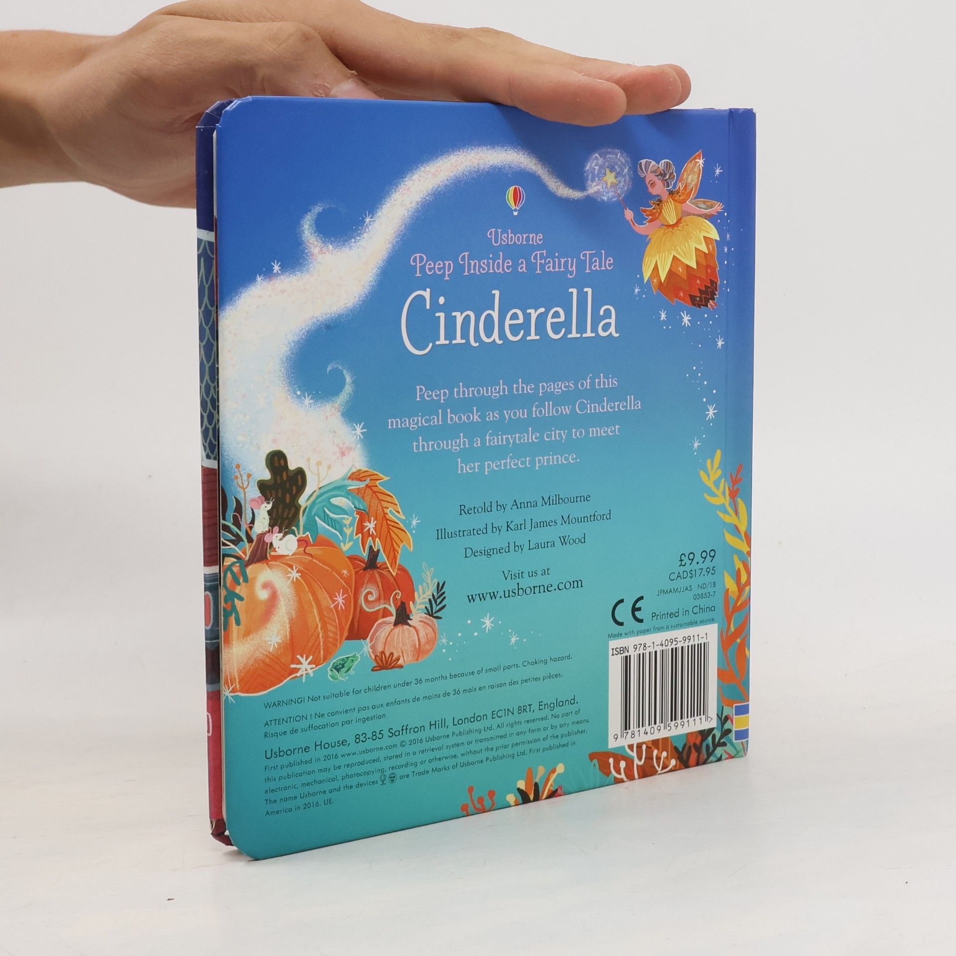 Anna Milbourne Cinderella