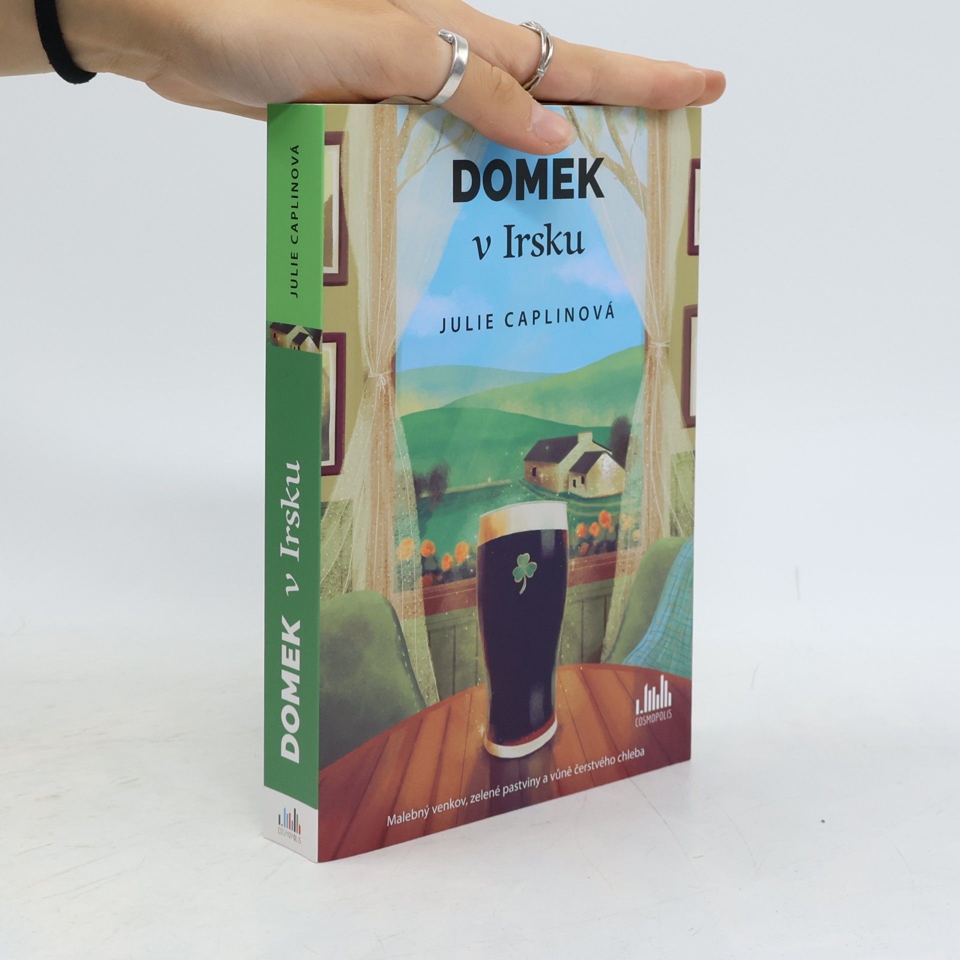 Julie Caplin Domek v Irsku