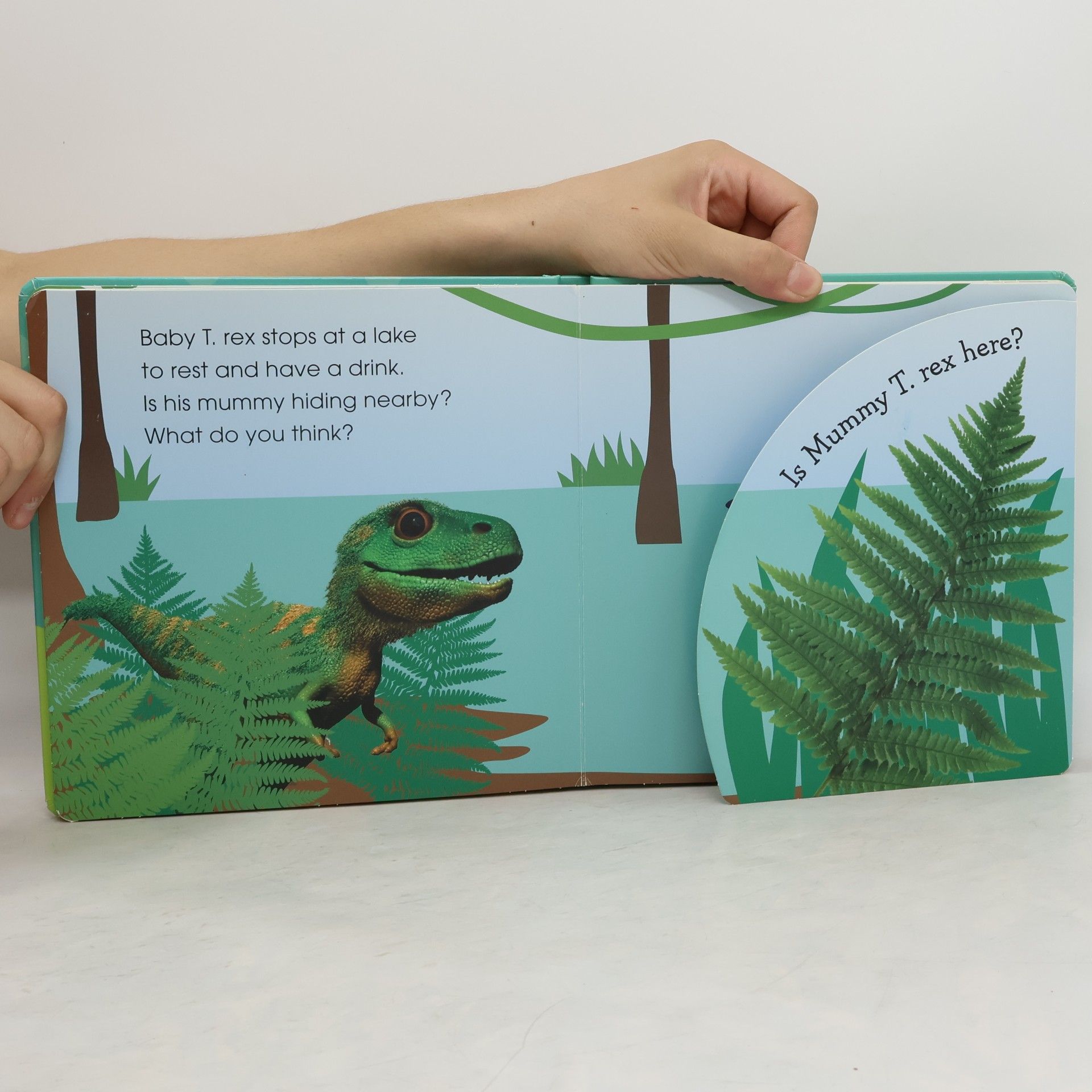 Collectif d'auteurs Pop-Up Peekaboo! Baby Dinosaur