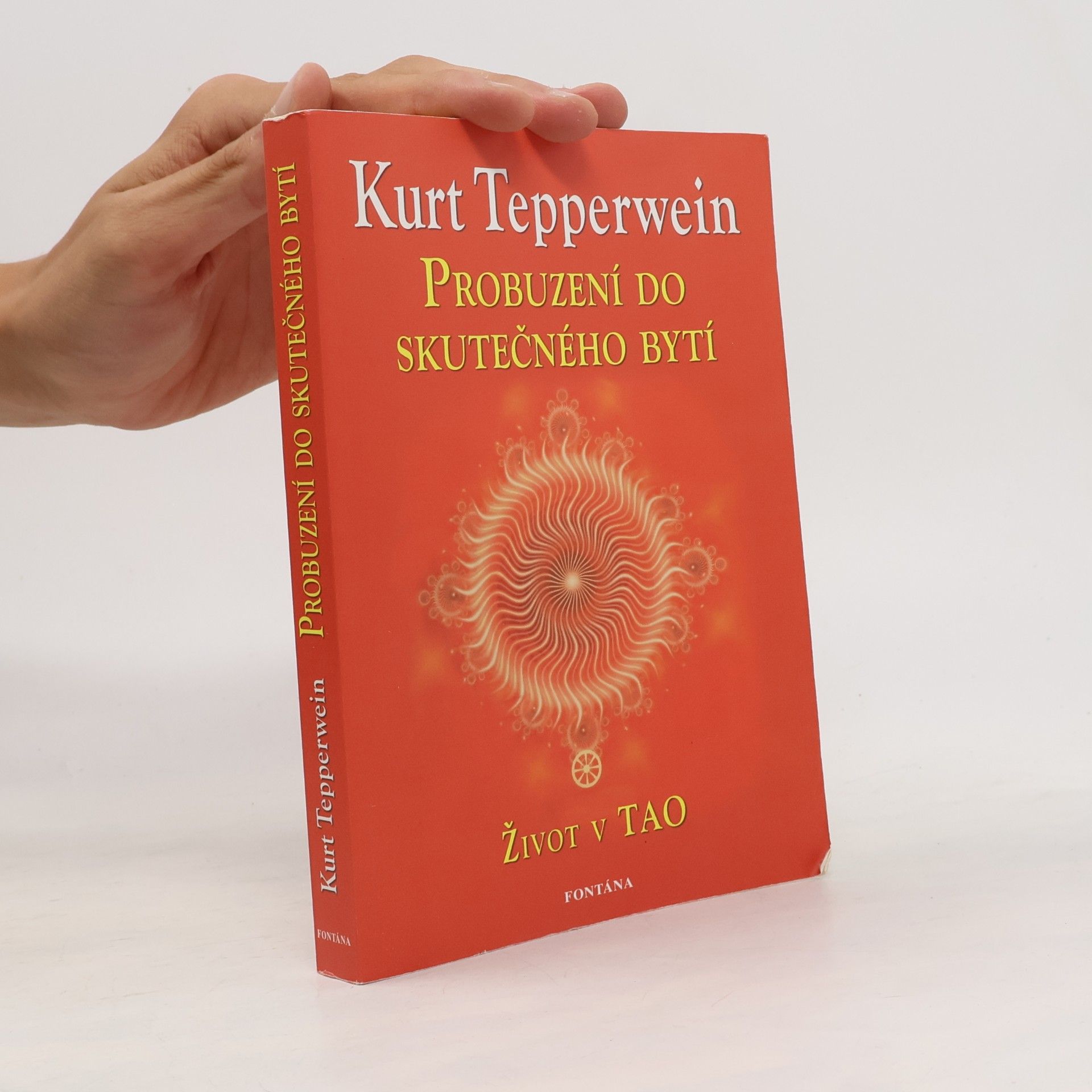 Kurt Tepperwein Probuzení do skutečného bytí