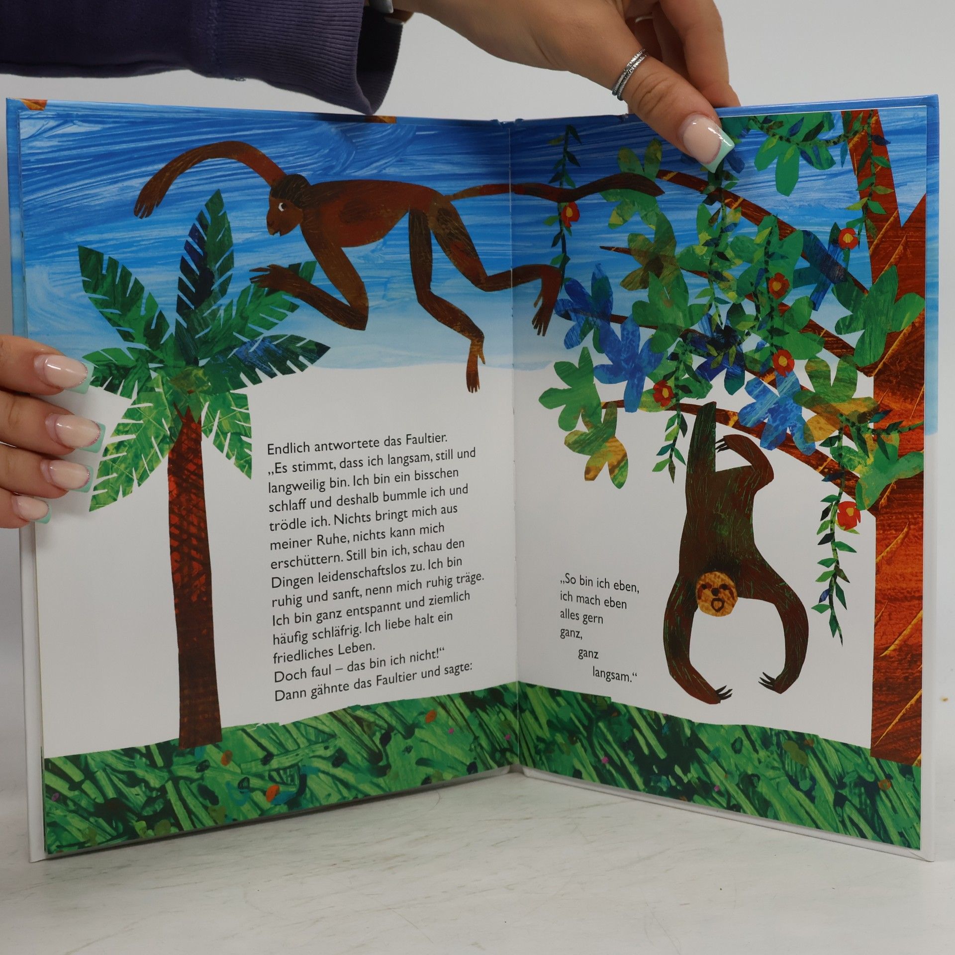 Eric Carle Ganz, ganz langsam, sagte das Faultier