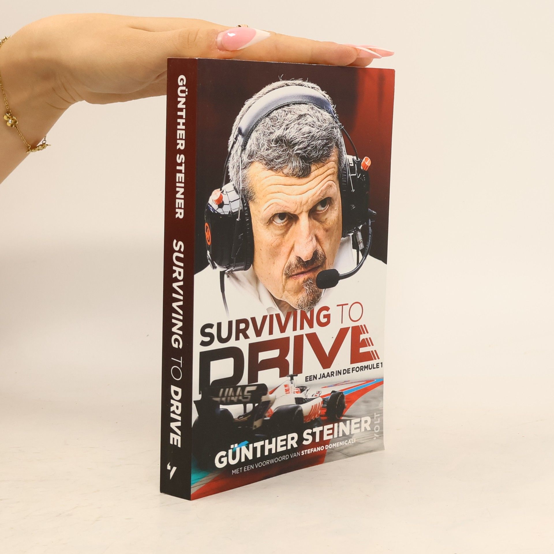 Stefano Domenicali Surviving to Drive