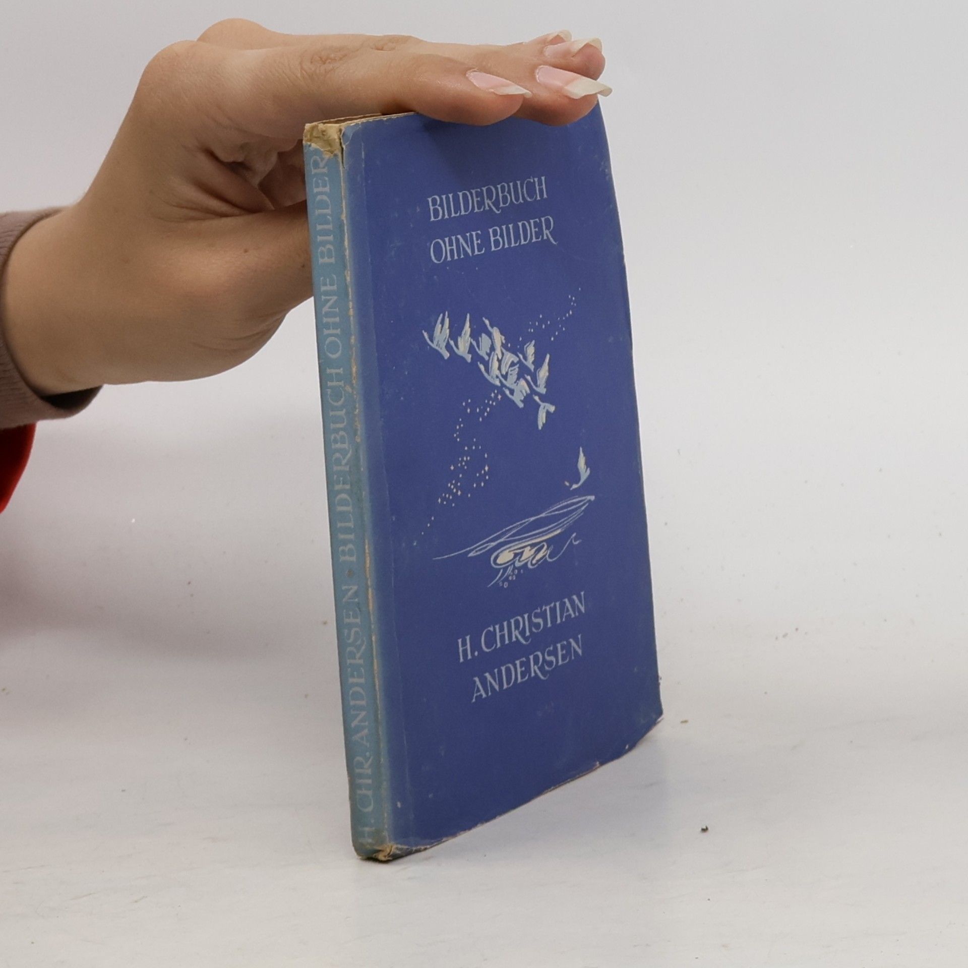 Bilderbuch ohne Bilder