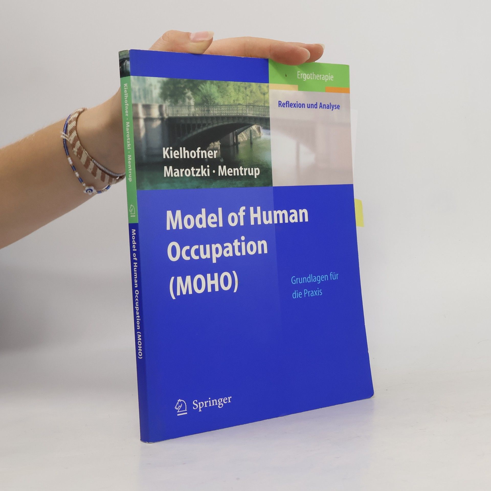 Christiane Mentrup Model of Human Occupation (MOHO)