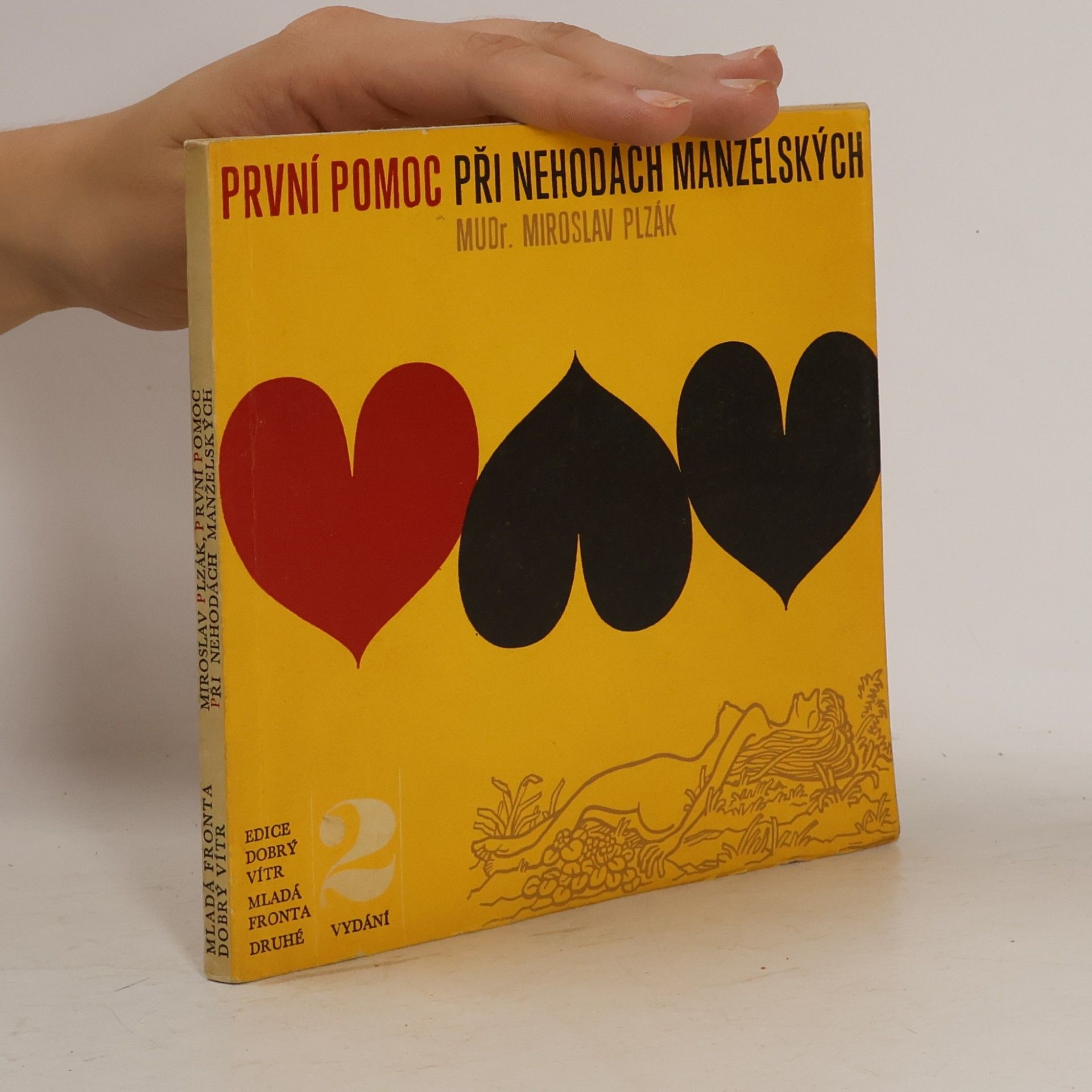 Miroslav Plzák První pomoc při nehodách manželských