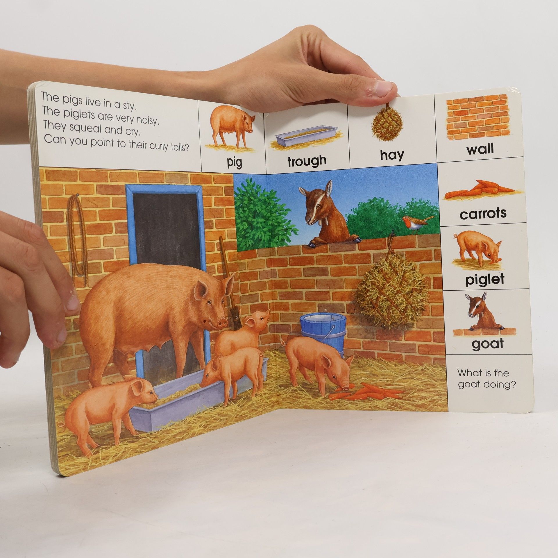 Bob Bampton Look & Learn About: Animals on the Farm