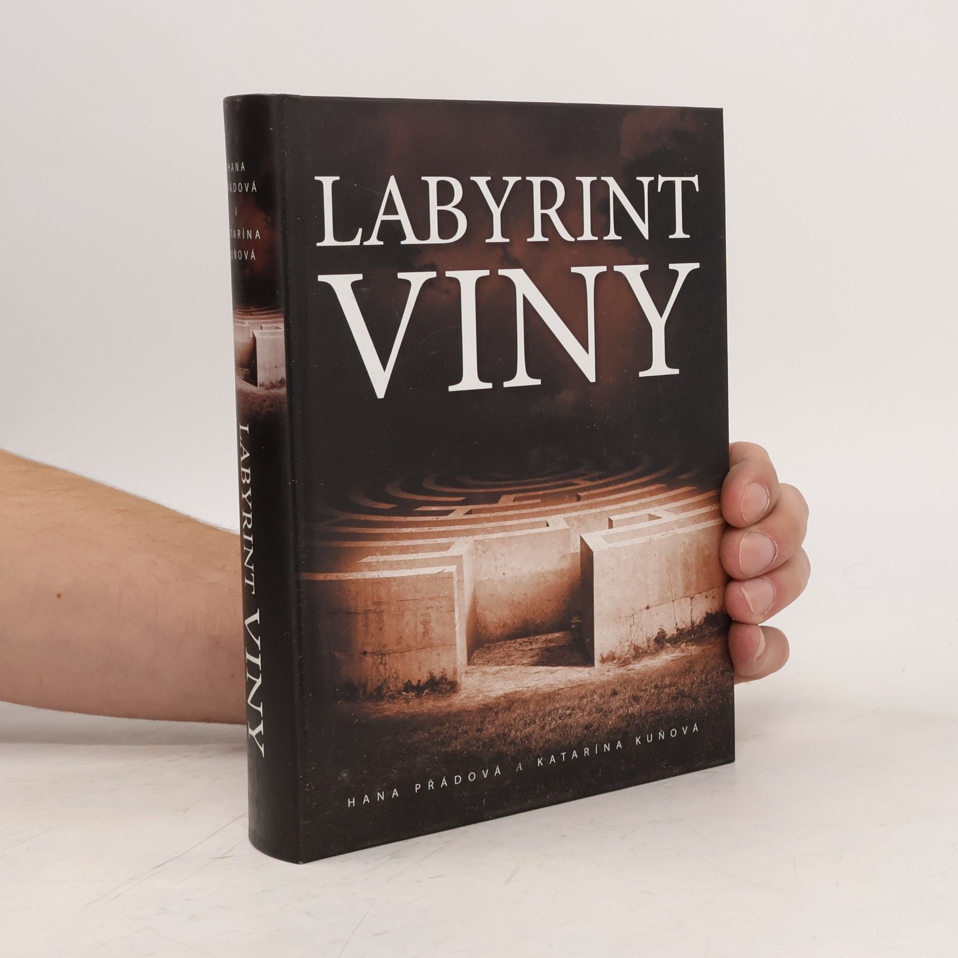 Katarína Kuňová Labyrint viny