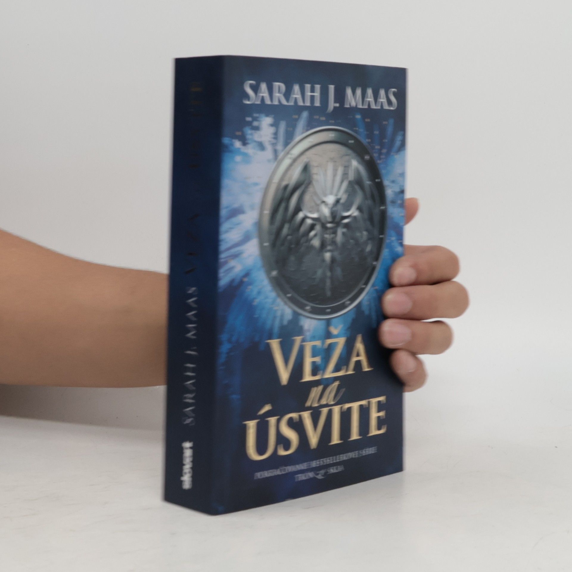 Sarah J. Maas Veža na úsvite