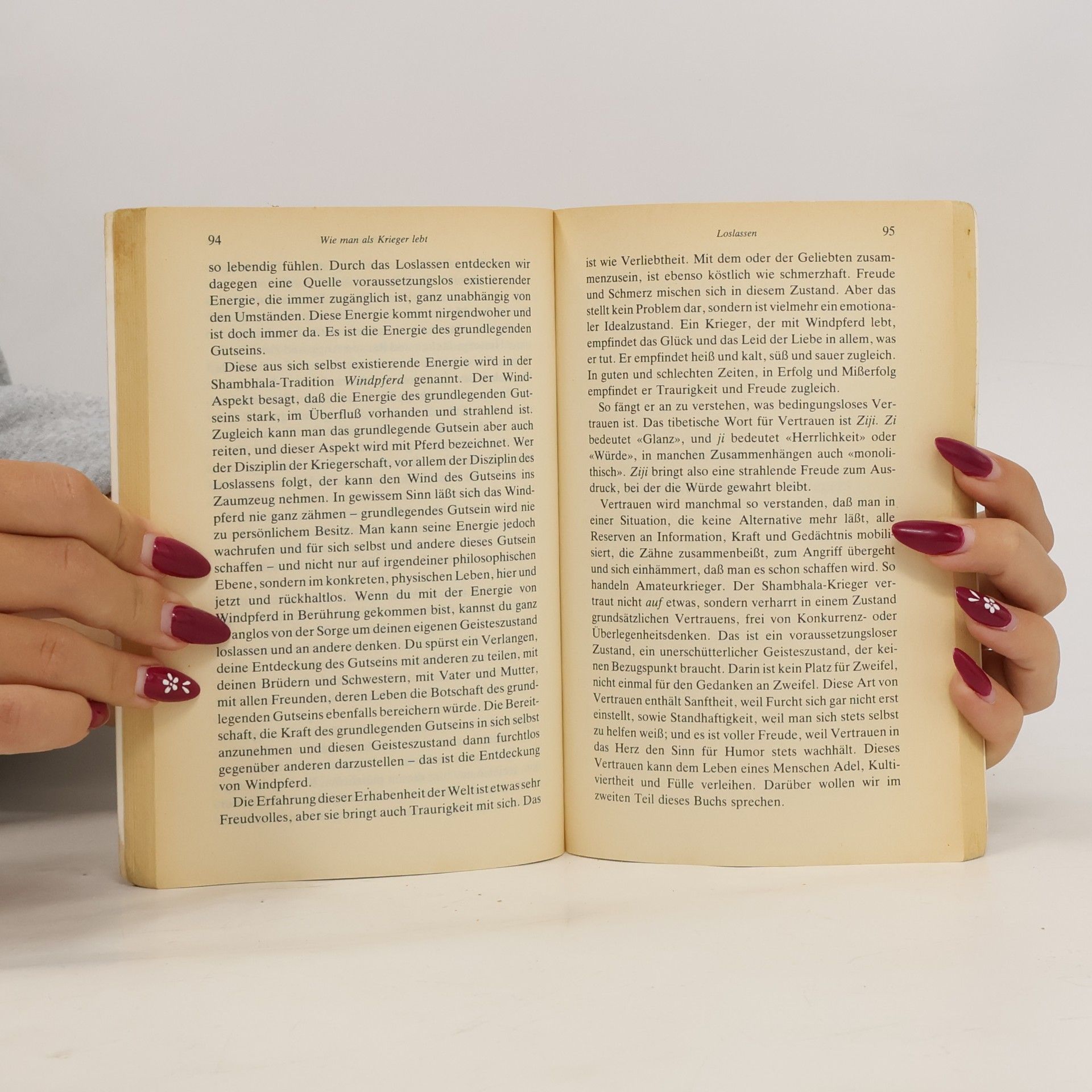 Čhögjam Trungpa Das Buch vom meditativen Leben