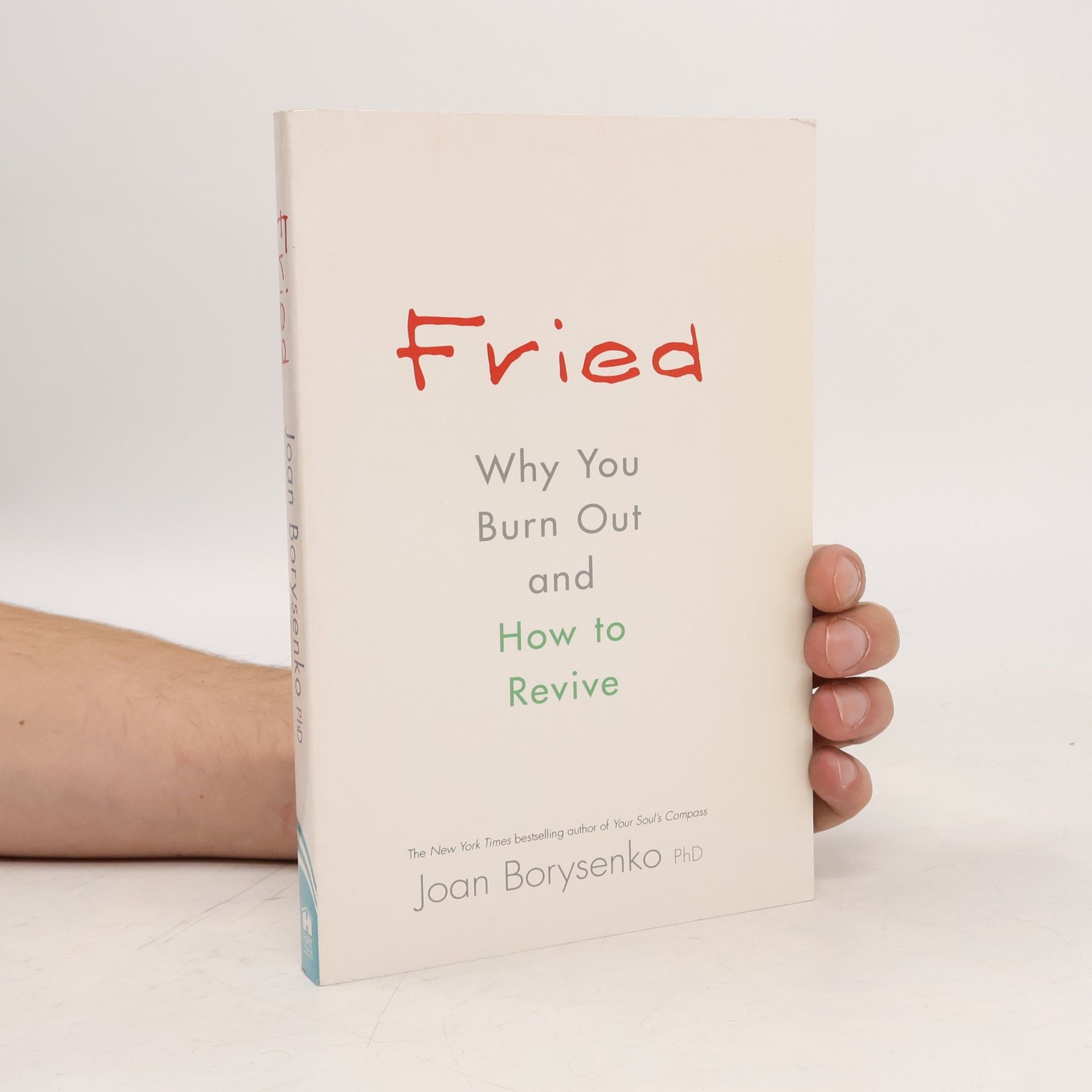 Joan Borysenko PhD Fried