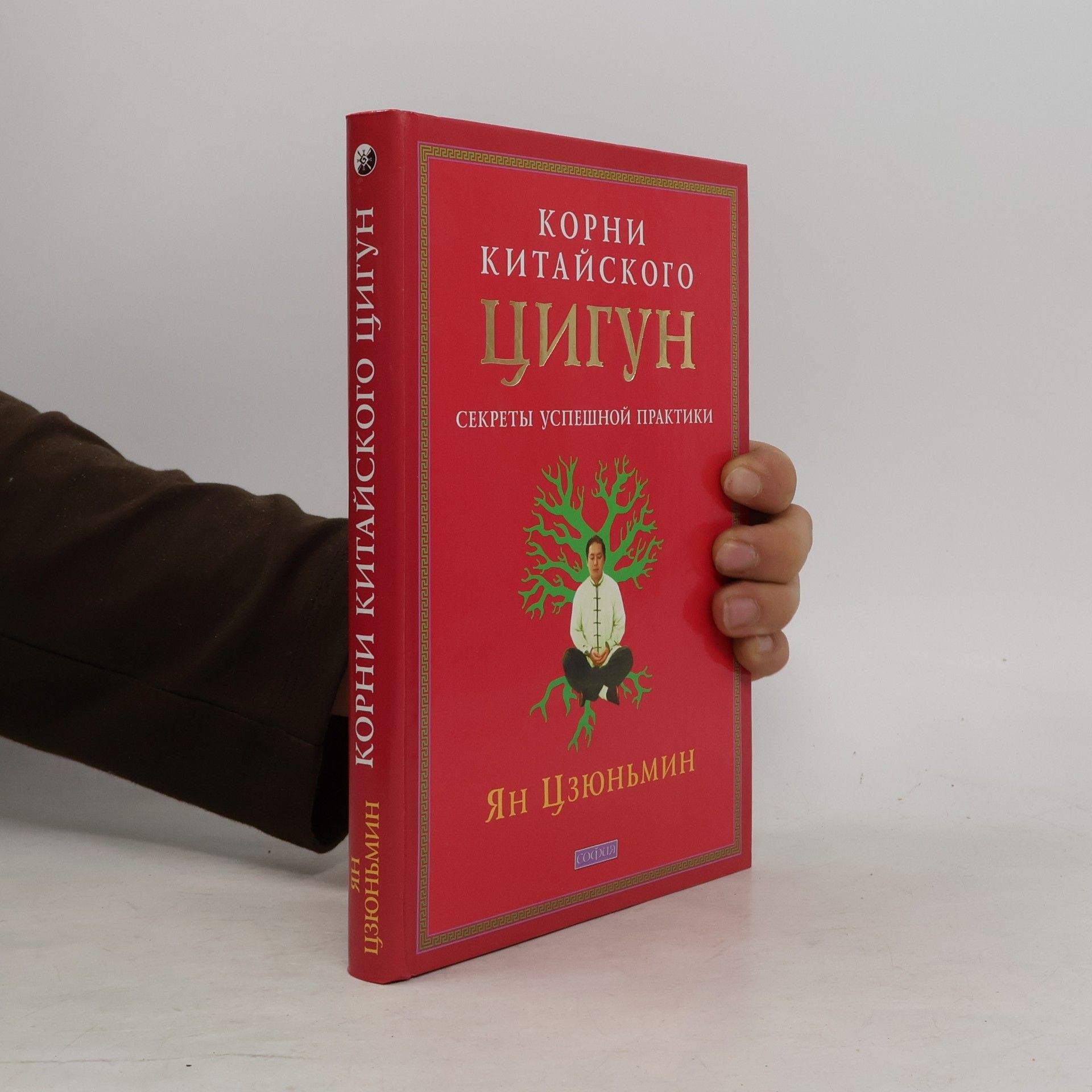 Yang Jwing-Ming Корни китайского цигун