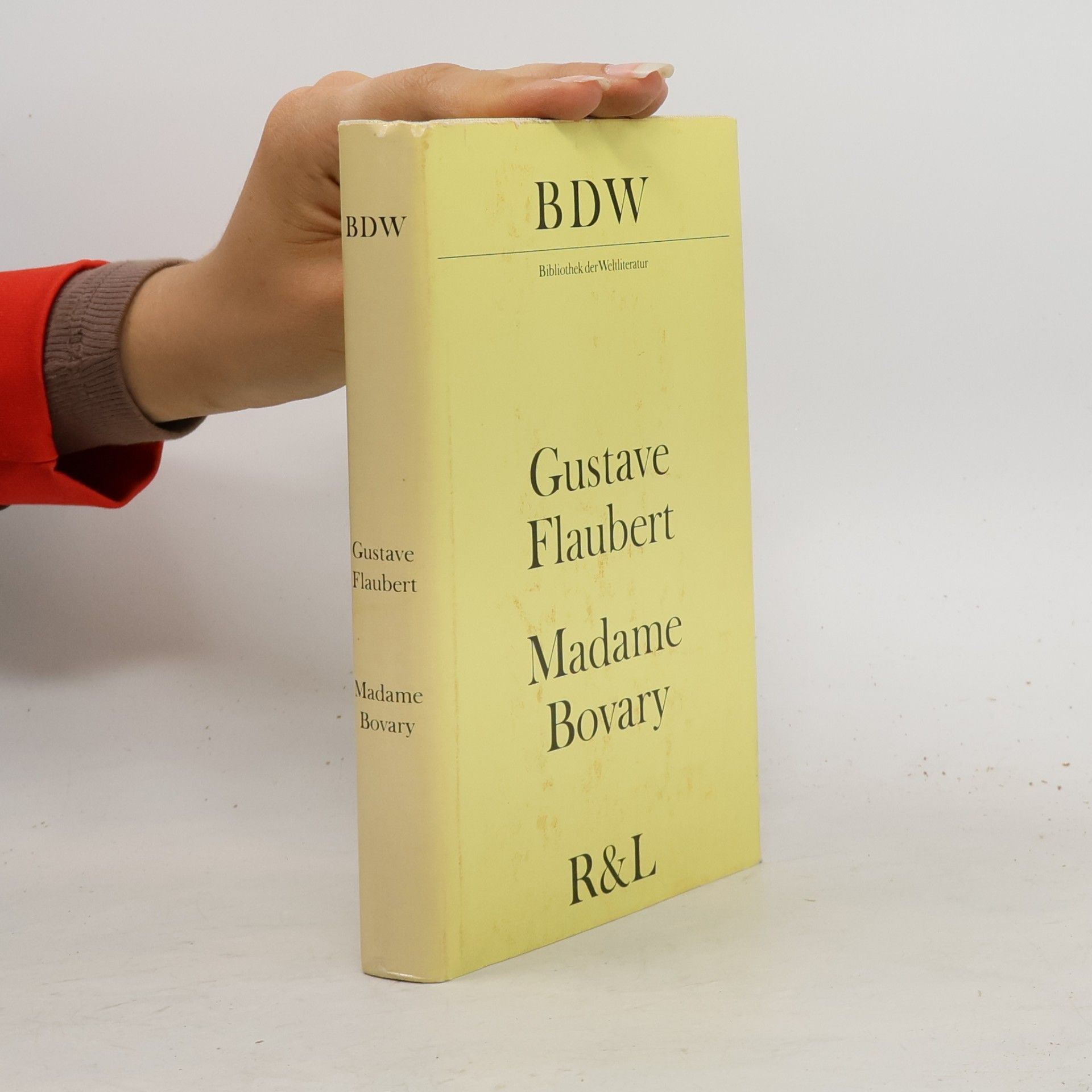 Gustave Flaubert Madame Bovary