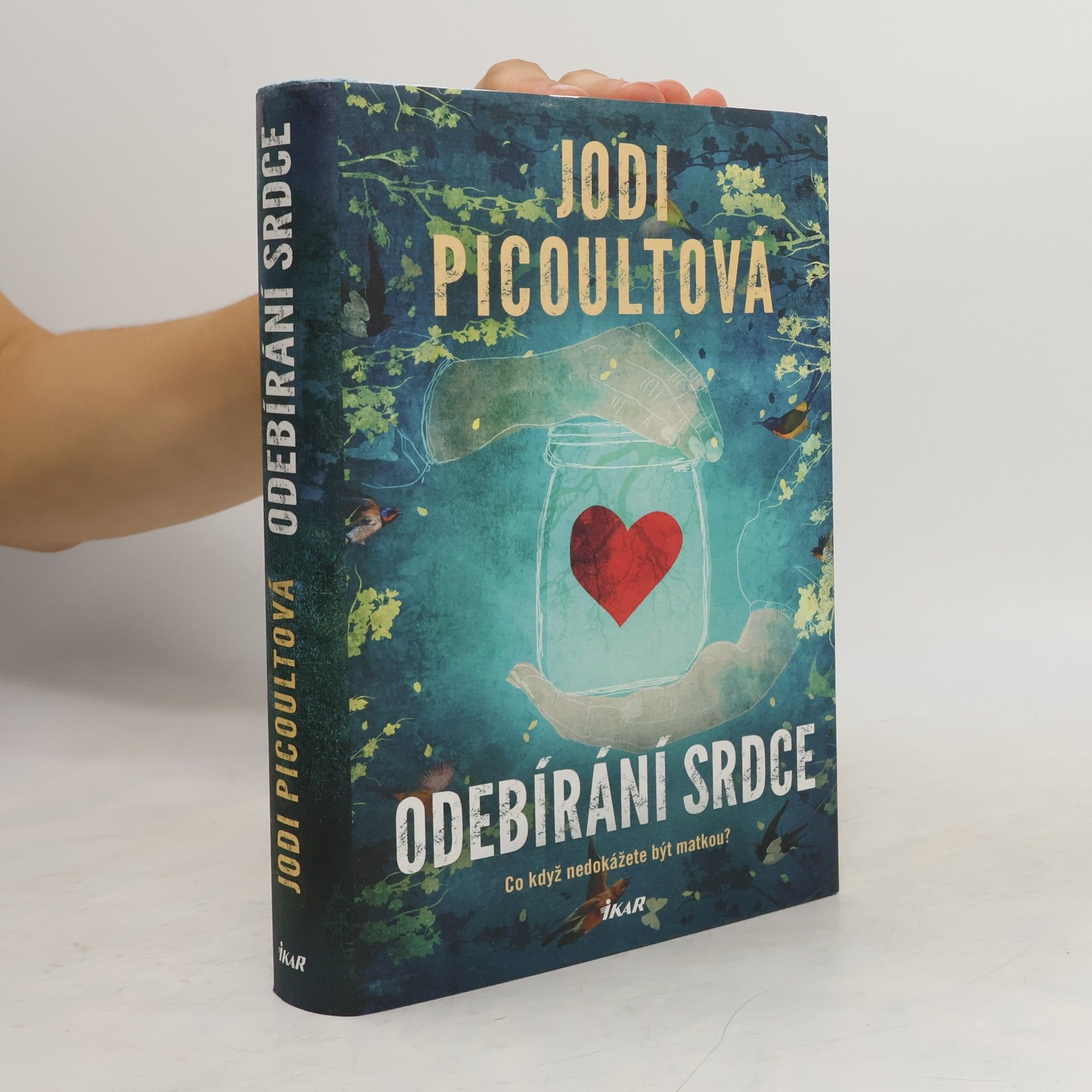 Jodi Picoult Odebírání srdce