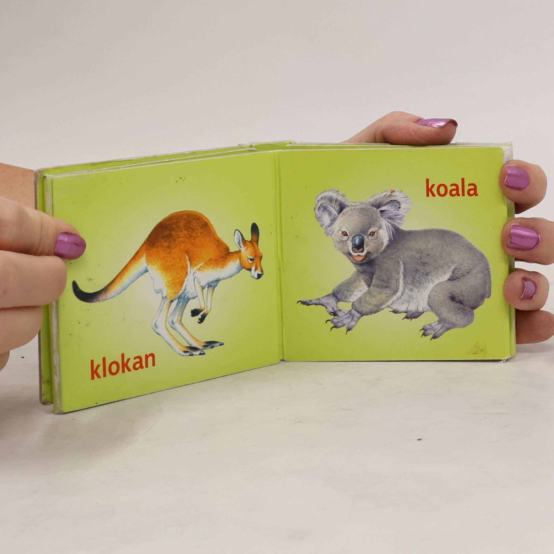 Various authors Svět dítěte: Exotická zvířata