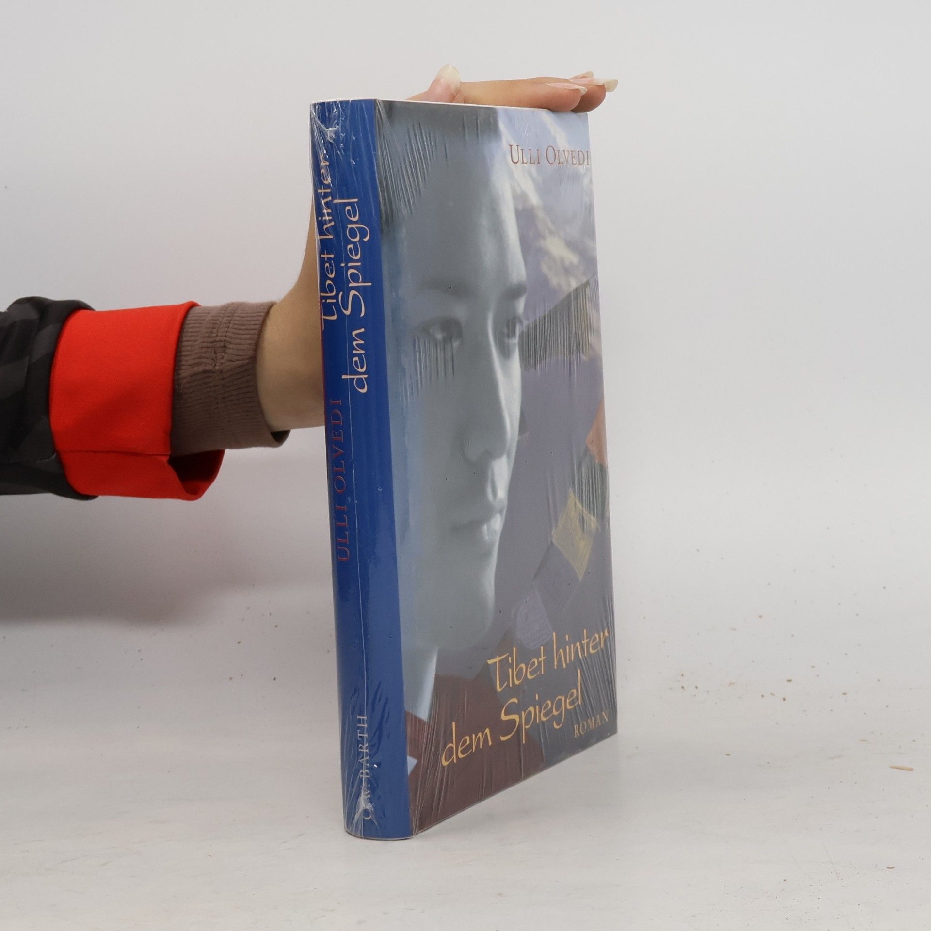 Ulli Olvedi Tibet hinter dem Spiegel