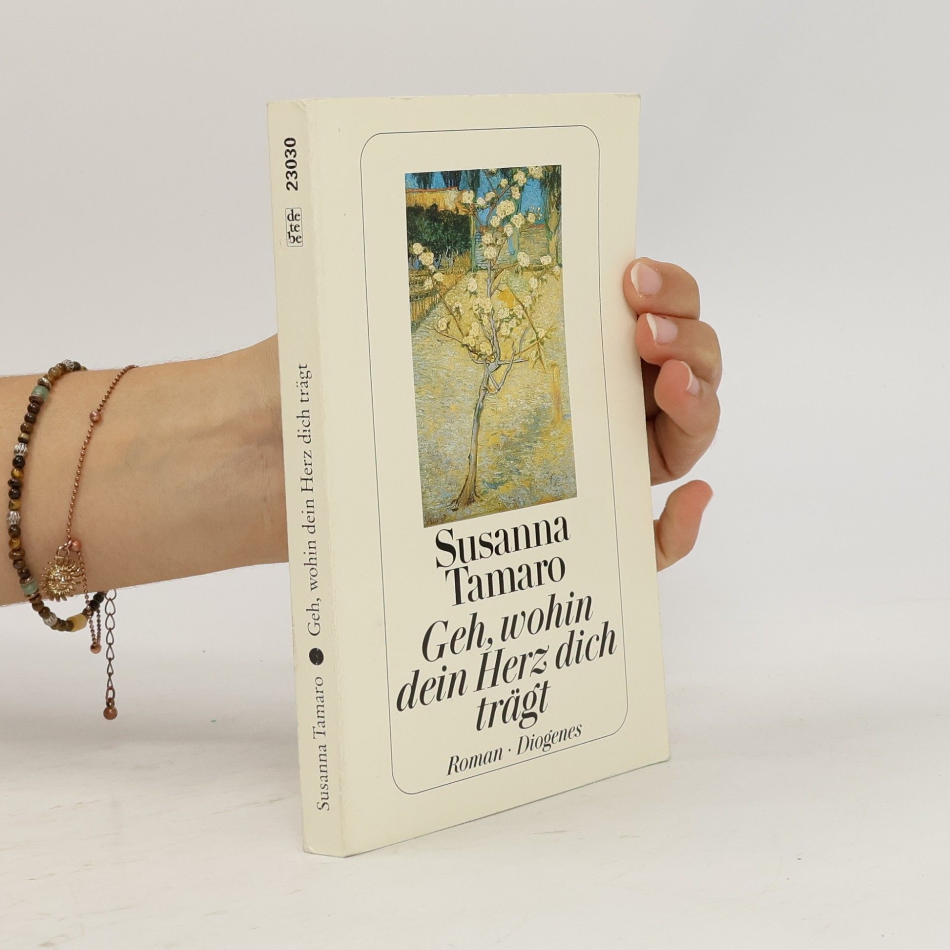 Susanna Tamaro Geh, wohin dein Herz dich trägt