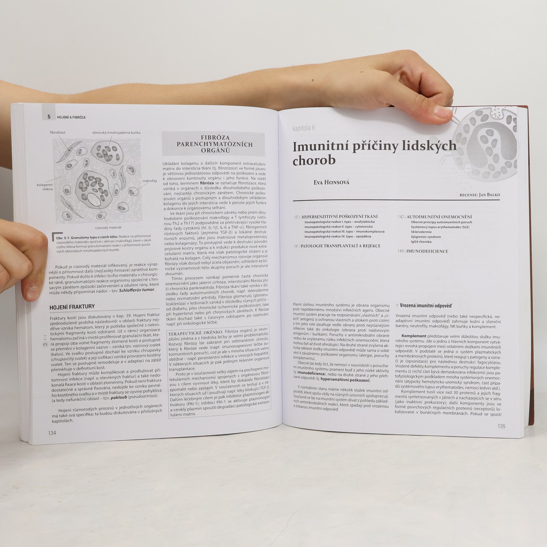 kolektiv Patologie 1