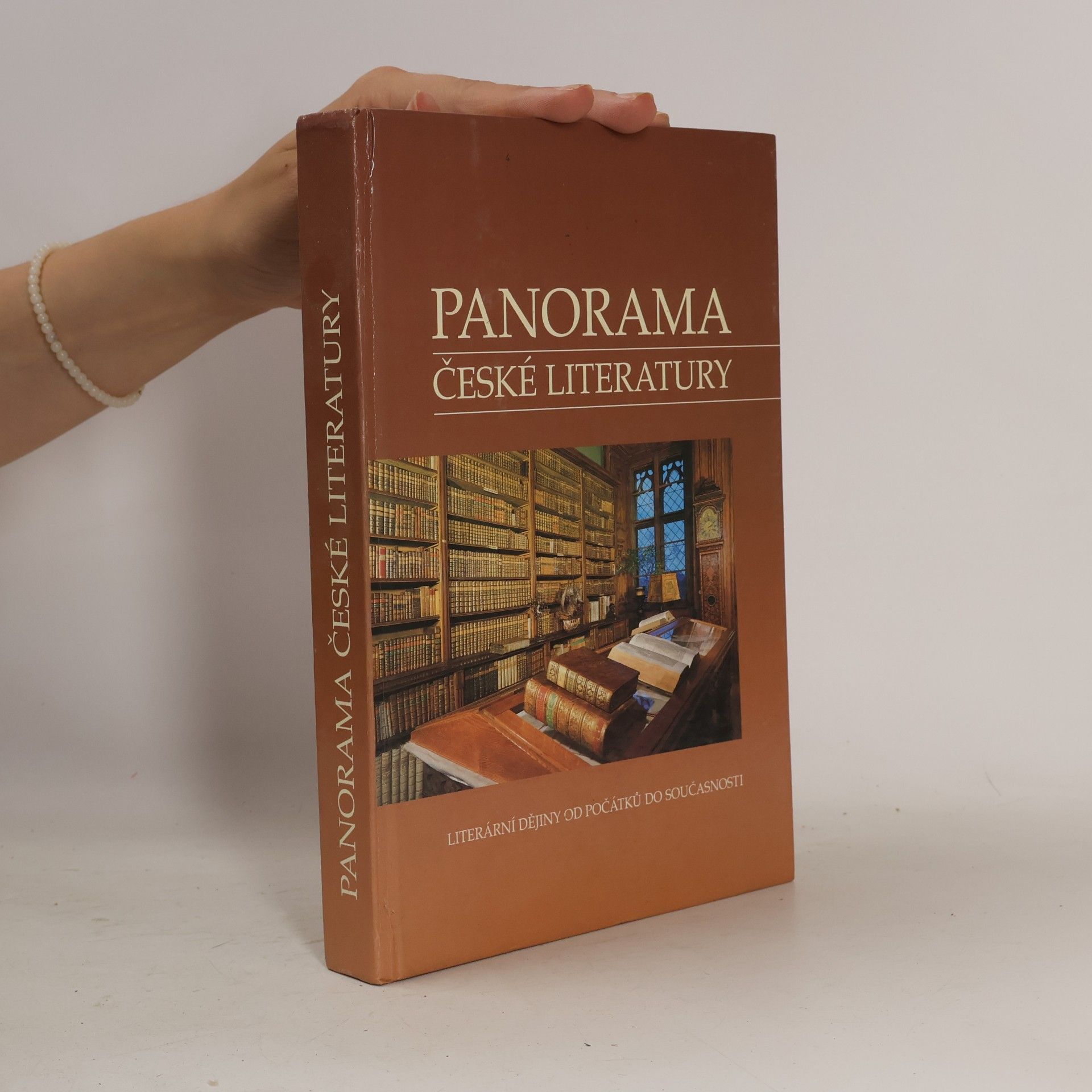 Josef Galík Panorama české literatury. Literární dějiny od počátků do současnosti