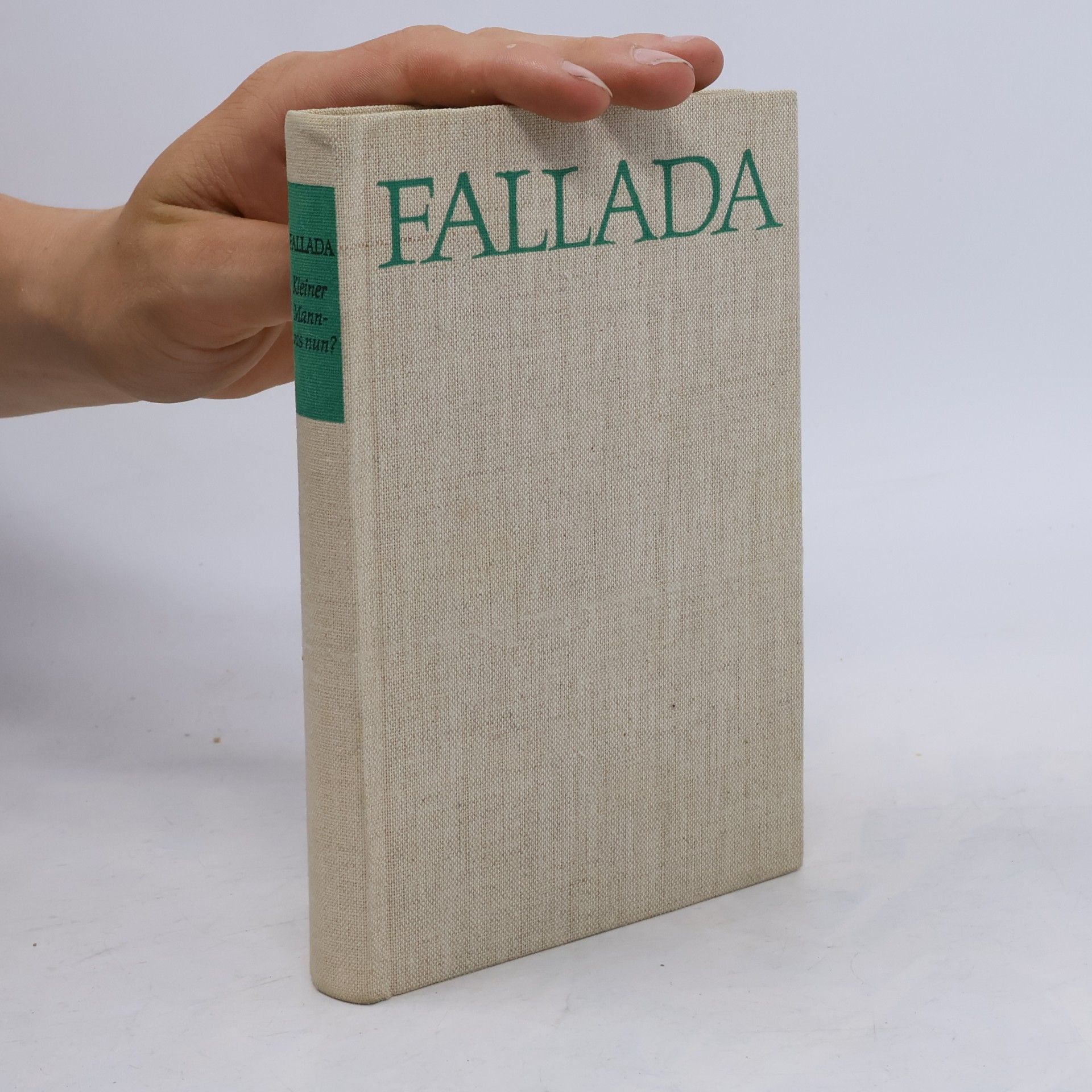 Hans Fallada Kleiner Mann-was nun?
