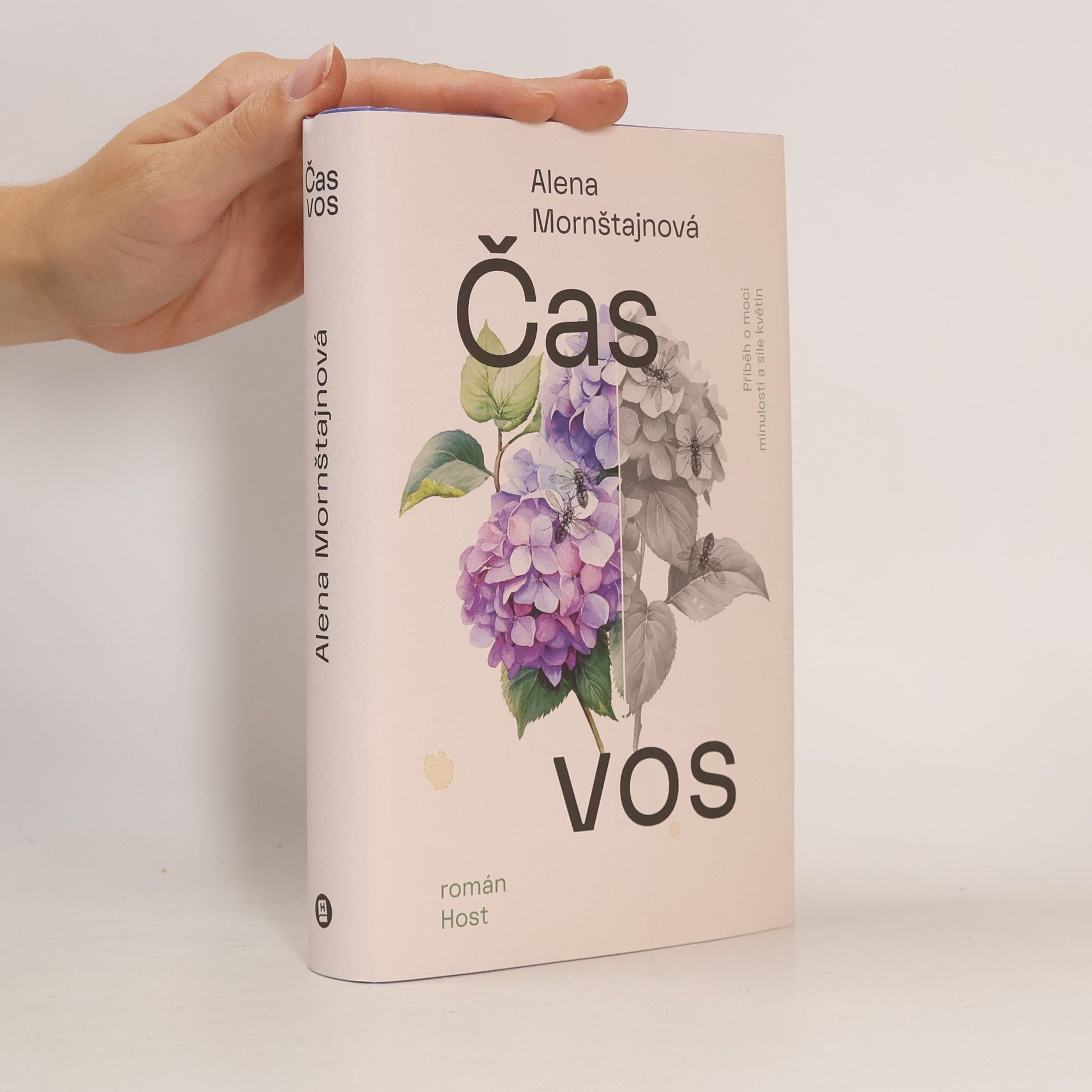 Alena Mornštajnová Čas vos
