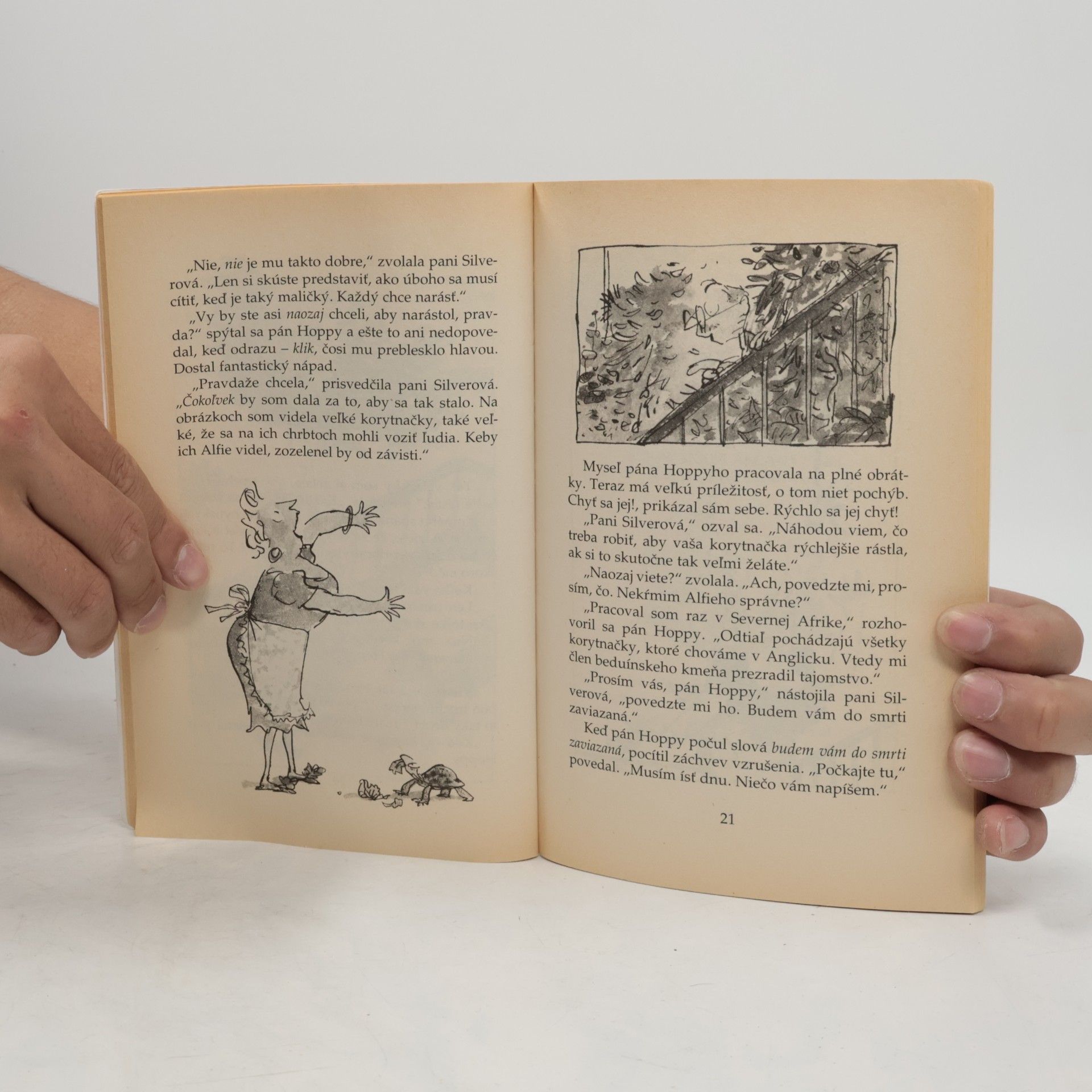 Roald Dahl Akčan Tyrok
